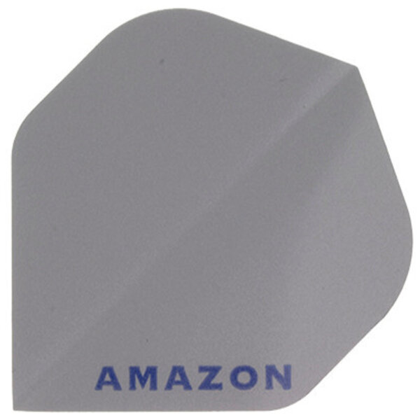 Amazon Amazon Silver Standard Dart Flights