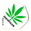 PENTATHLON Pentathlon White Green Leaf Standard Dart Flights