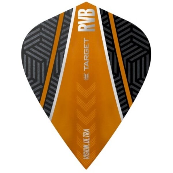Target Darts Target Raymond van Barneveld Black and Orange Curve Dart Flights