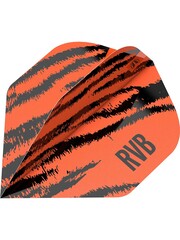 Target Darts Target Pro Player Raymond van Barneveld Brass No.2 Dart Flights