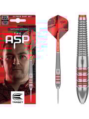 Target Darts Target Nathan Aspinall Brass Steel Tip Darts 22g