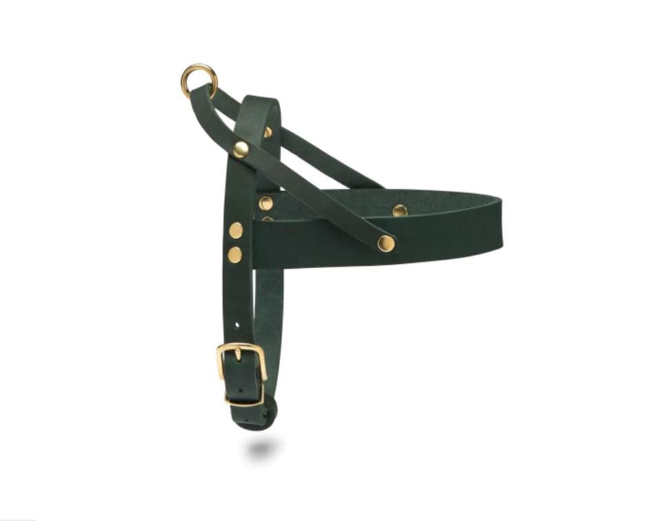 Butter Leather Dog Harness Veranada Oakland