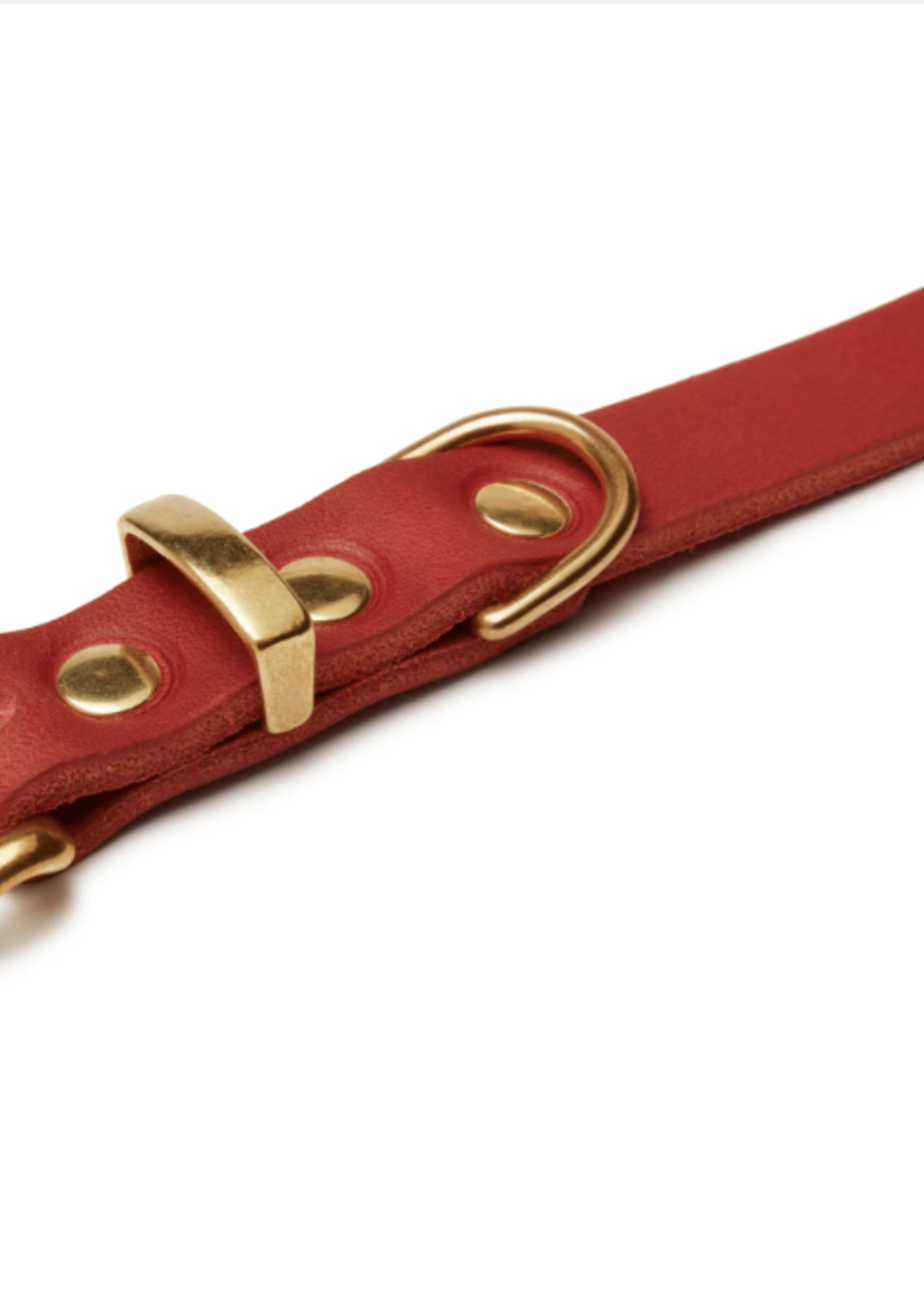 MOLLY AND STITCH Butter Leather Dog Collar