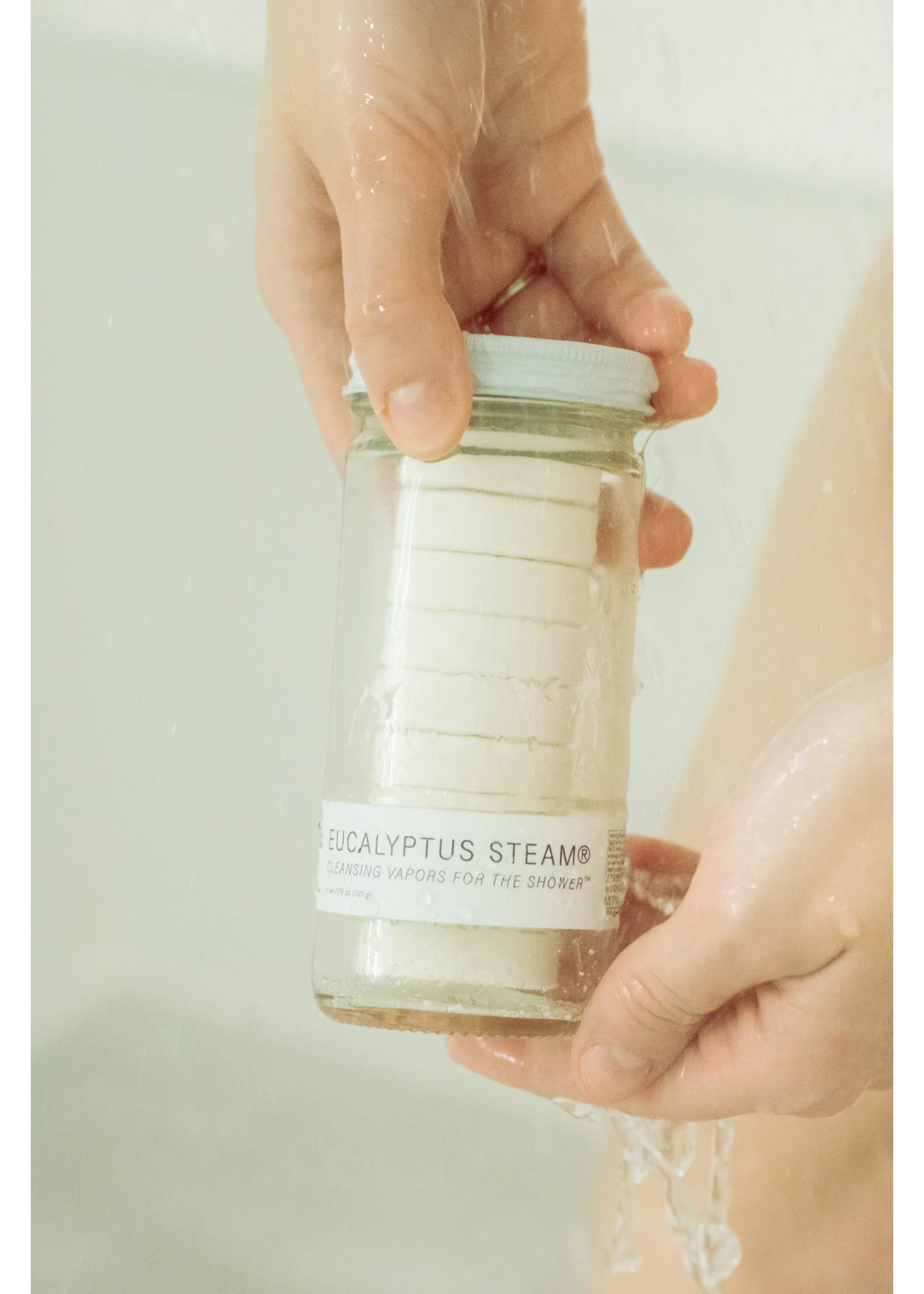 Eucalyptus Steamers Normal Jar