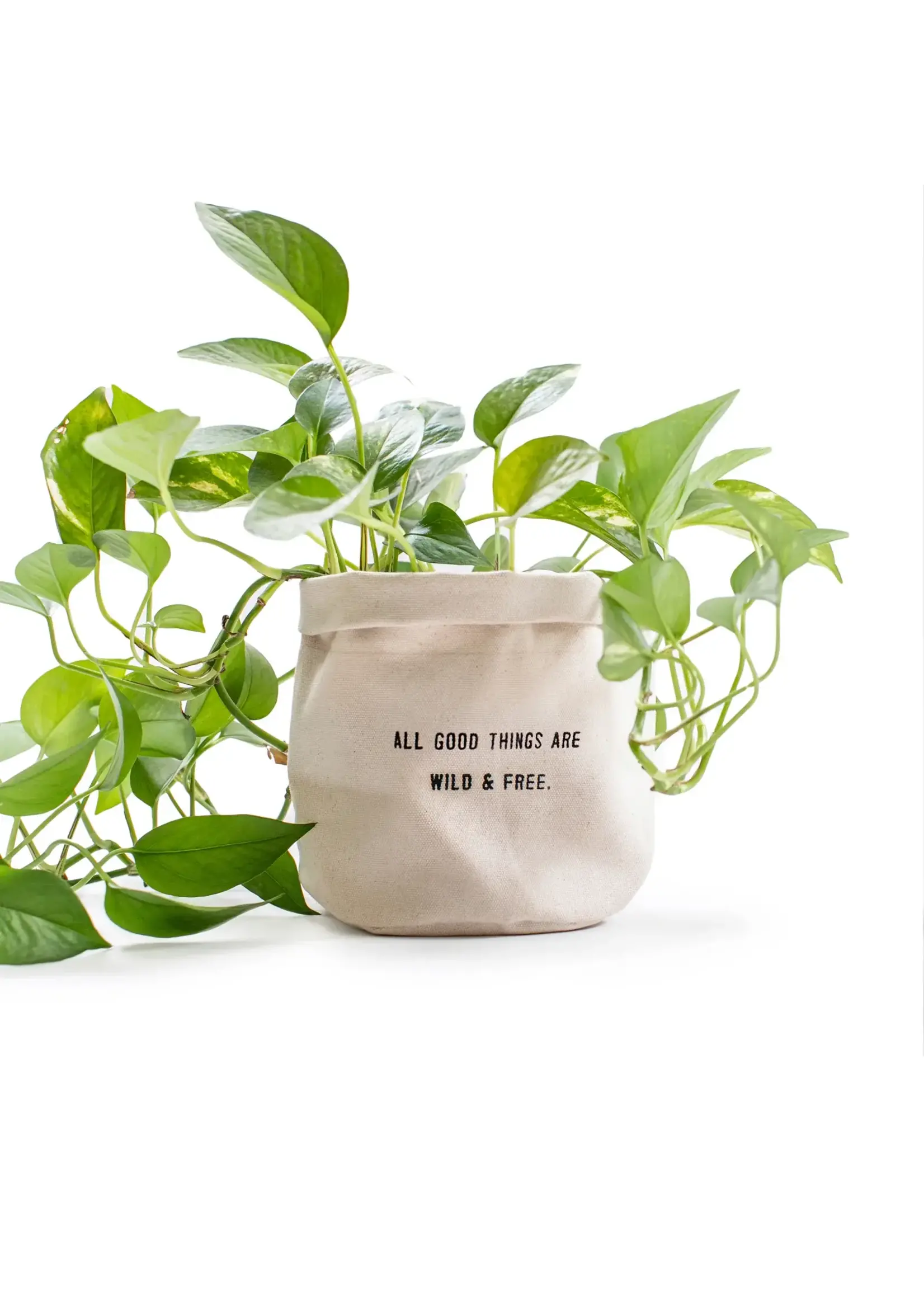 I Dig You (Canvas Planter)