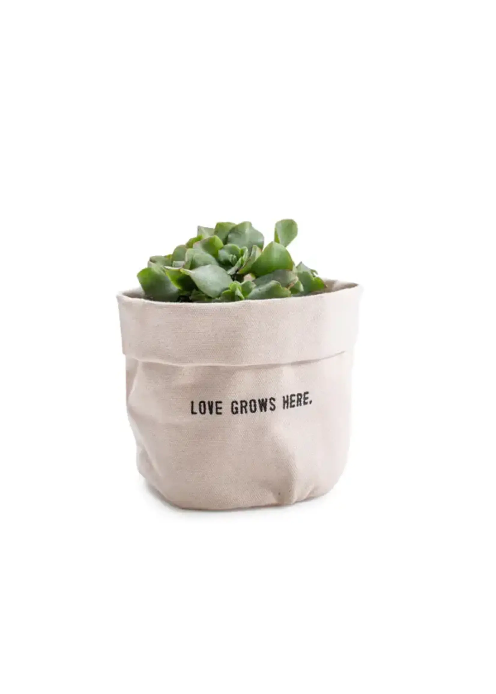 Love Grows Here (Canvas Planter)