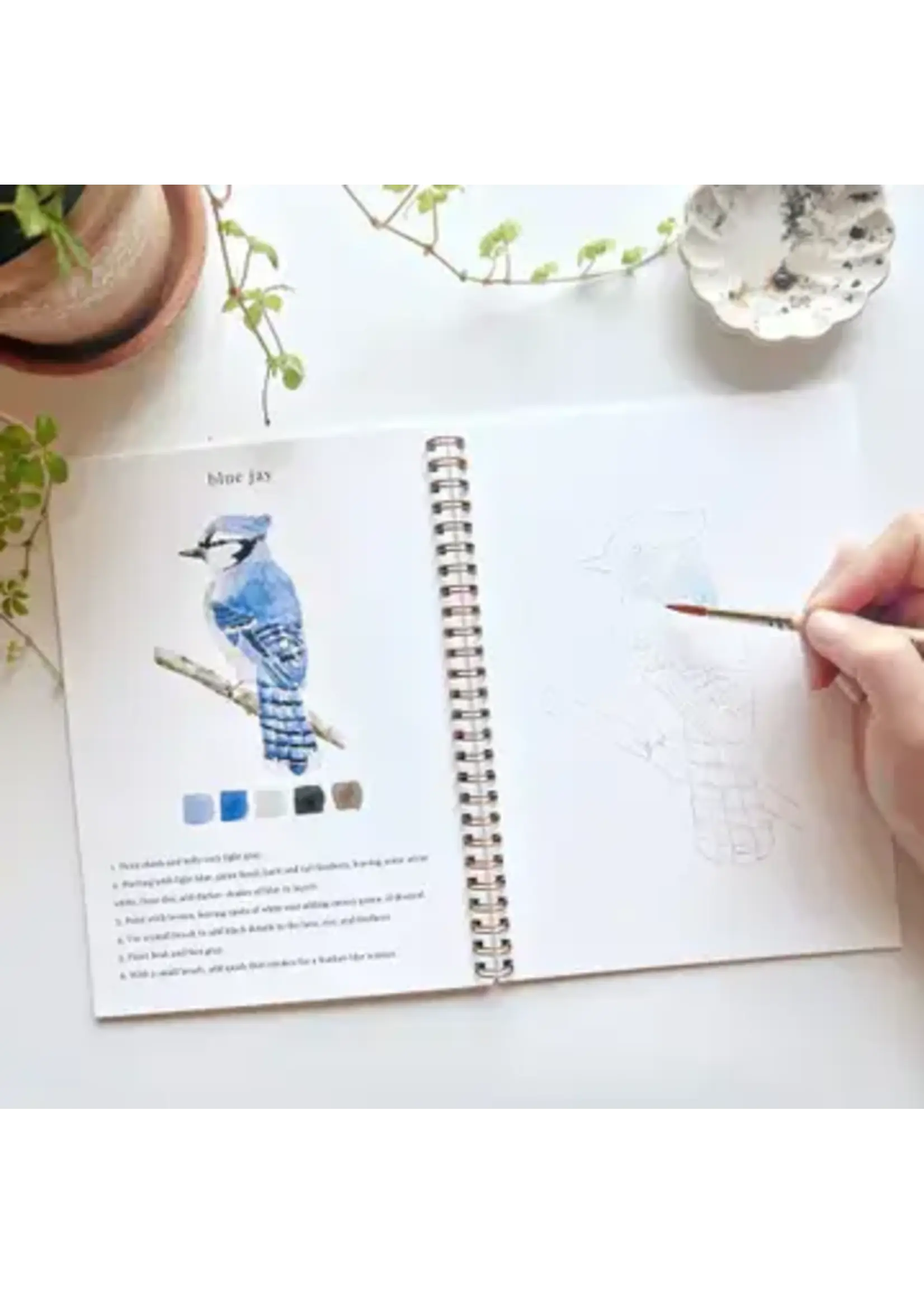 Emily Lex Studio Birds Watercolor Workbook