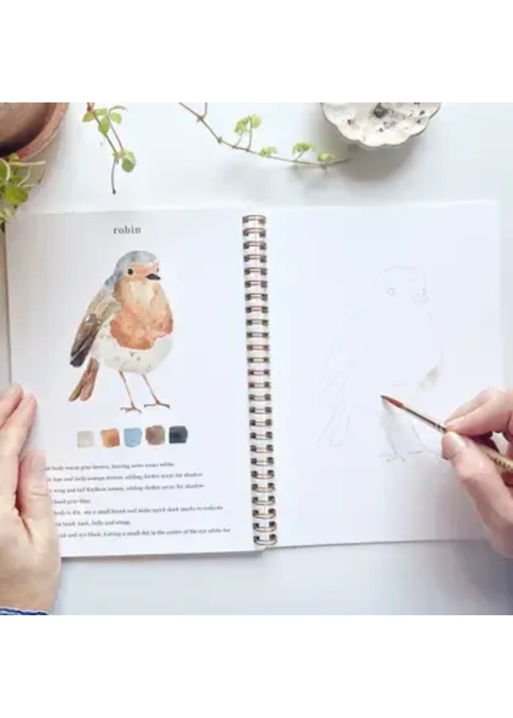Emily Lex Studio Birds Watercolor Workbook