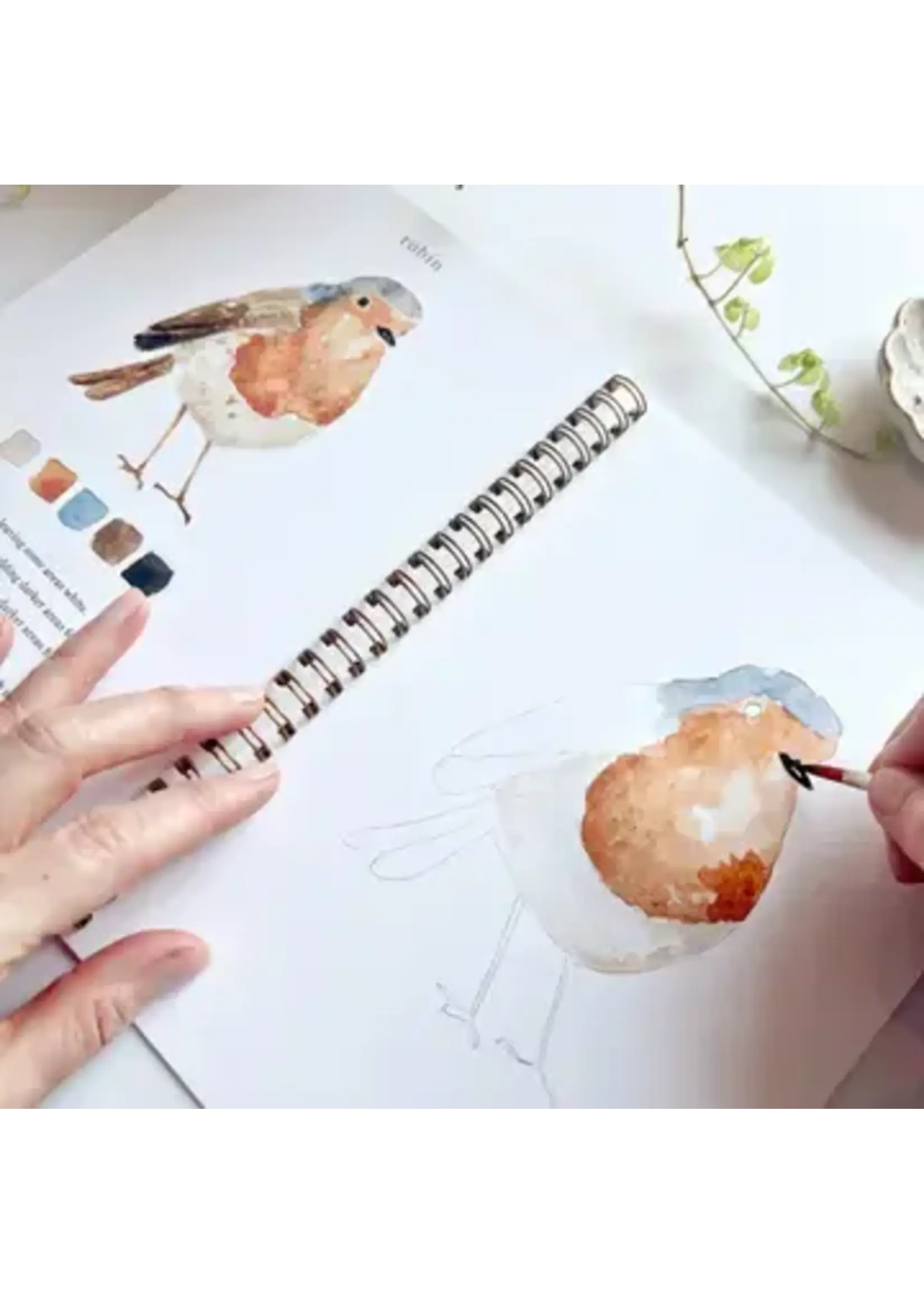 Emily Lex Studio Birds Watercolor Workbook