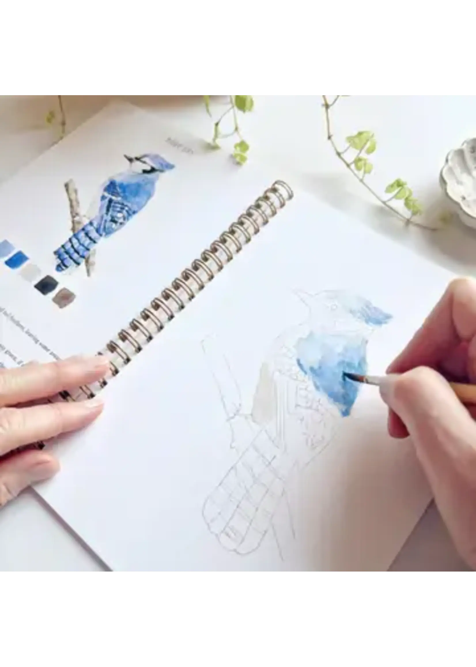 Emily Lex Studio Birds Watercolor Workbook