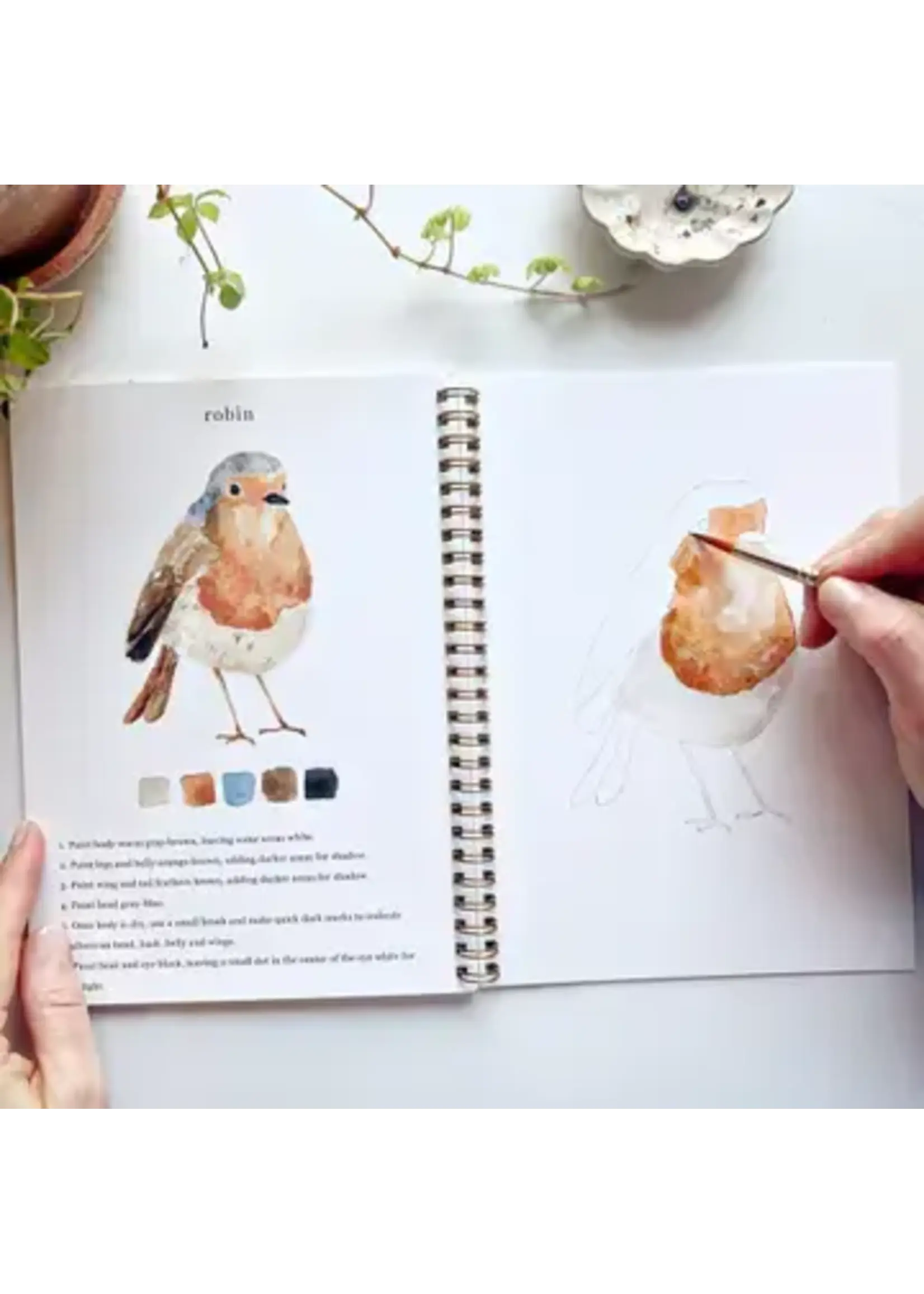 Emily Lex Studio Birds Watercolor Workbook