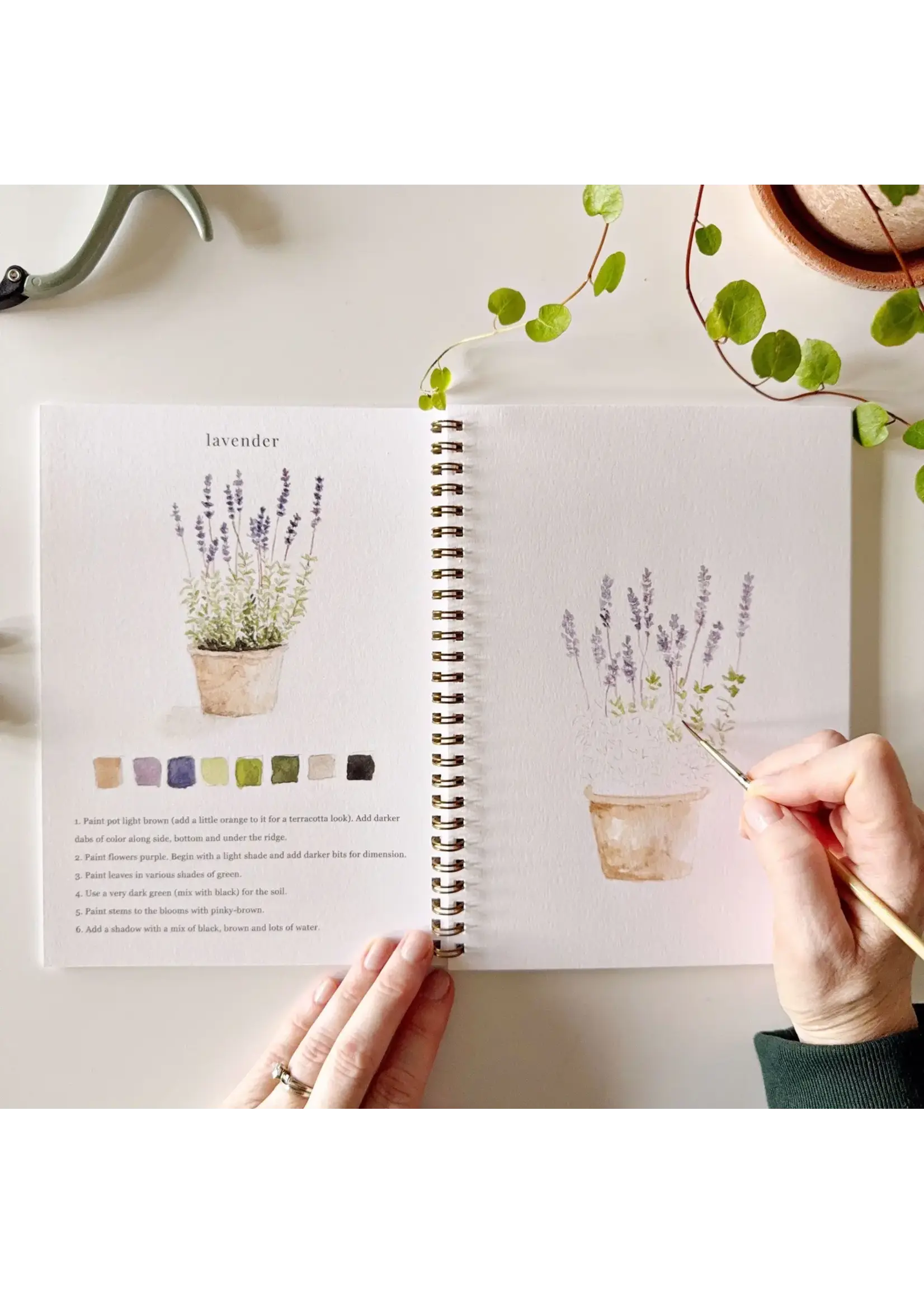 Emily Lex Studio Garden Watercolor Workbook