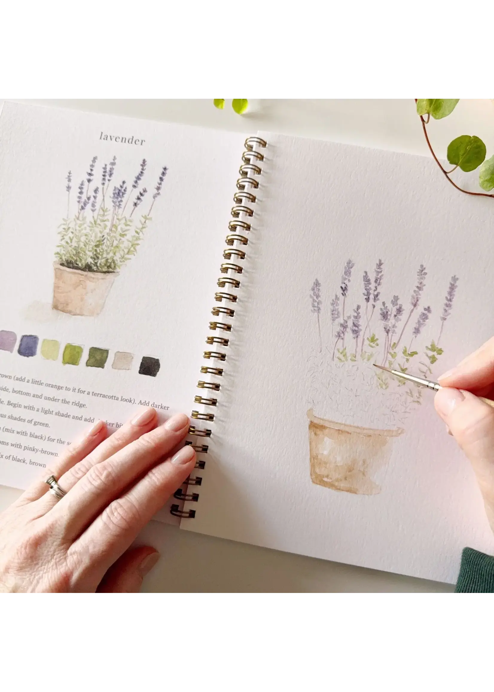 Emily Lex Studio Garden Watercolor Workbook