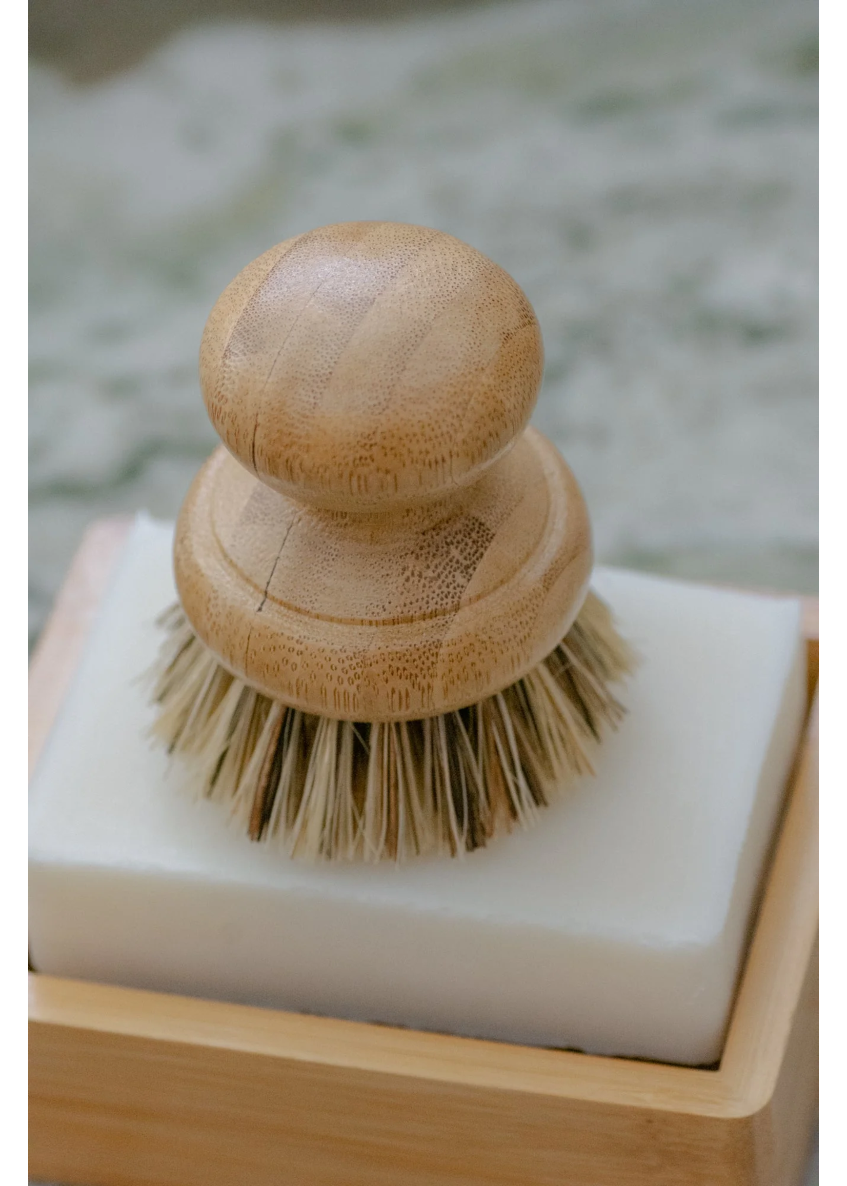 Pot / Soap Brush