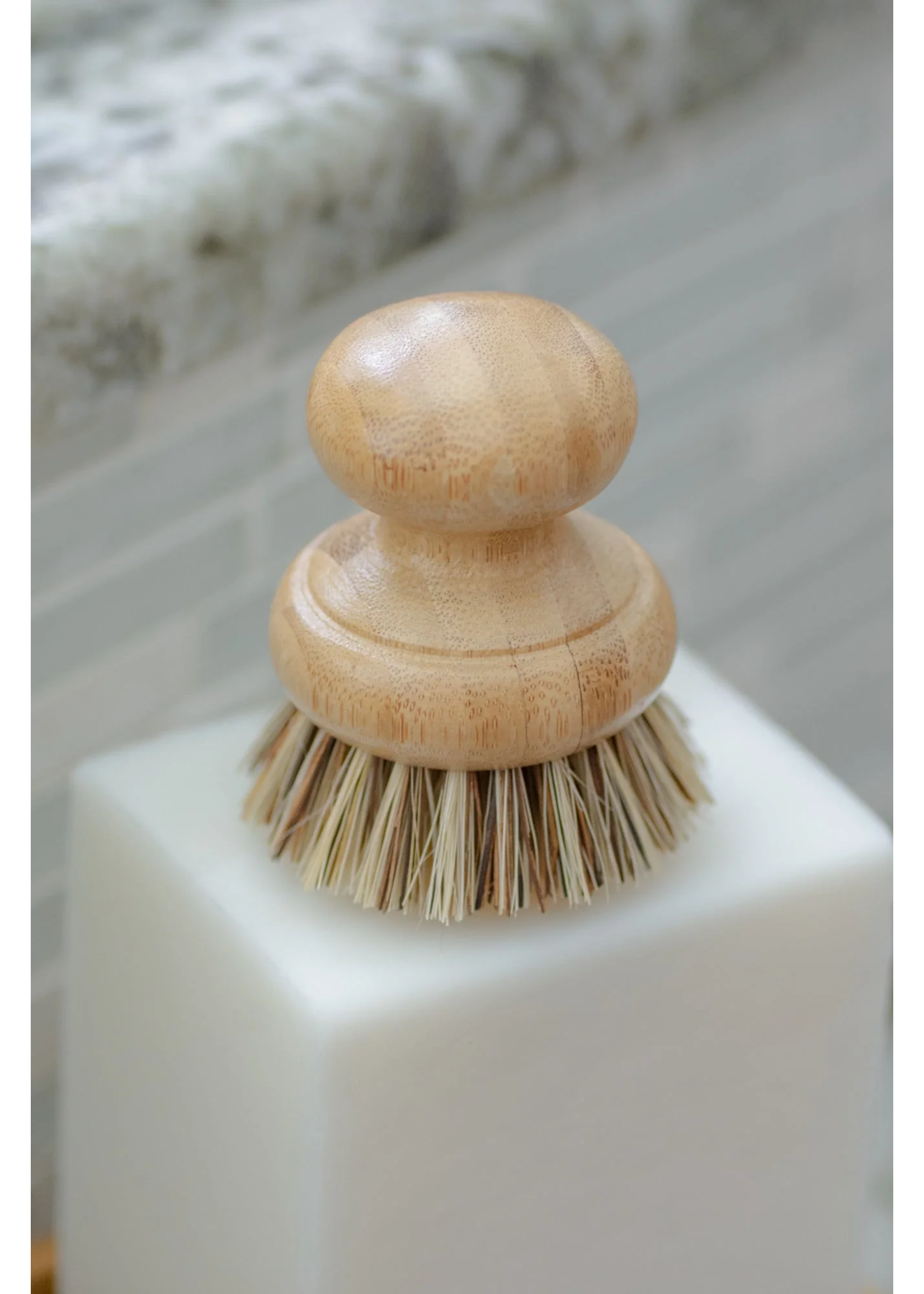 Pot / Soap Brush