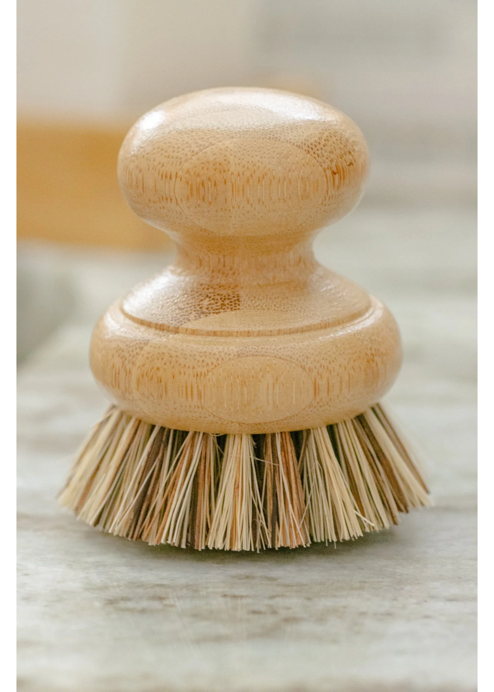 Pot / Soap Brush