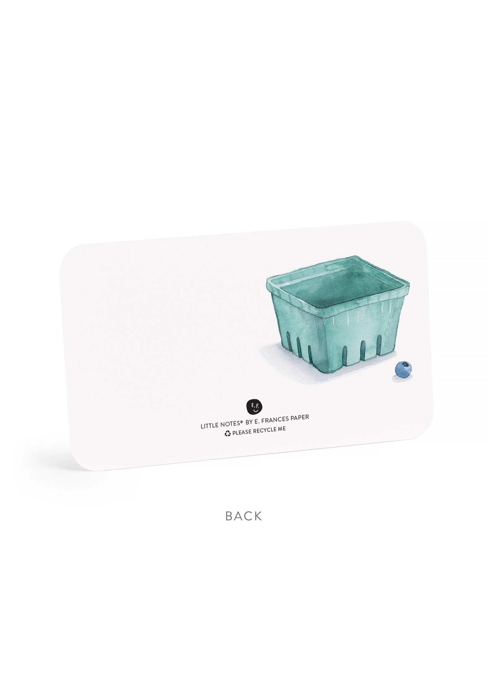 Blueberry Little Notes