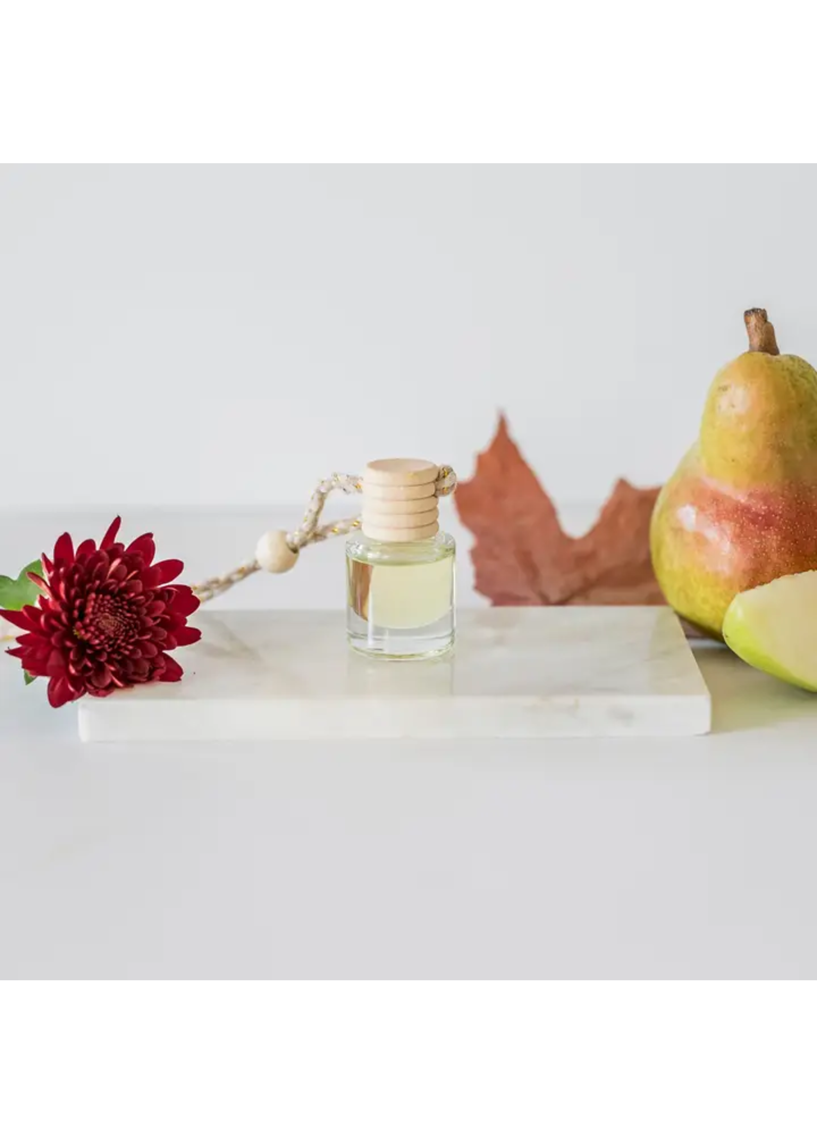 Ivy & Sage Co. Car Diffuser (Autumn Day)
