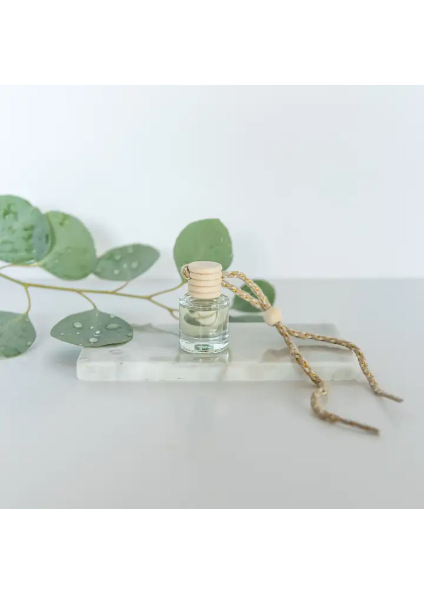 Ivy & Sage Co. Car Diffuser (Eucalyptus Rain)