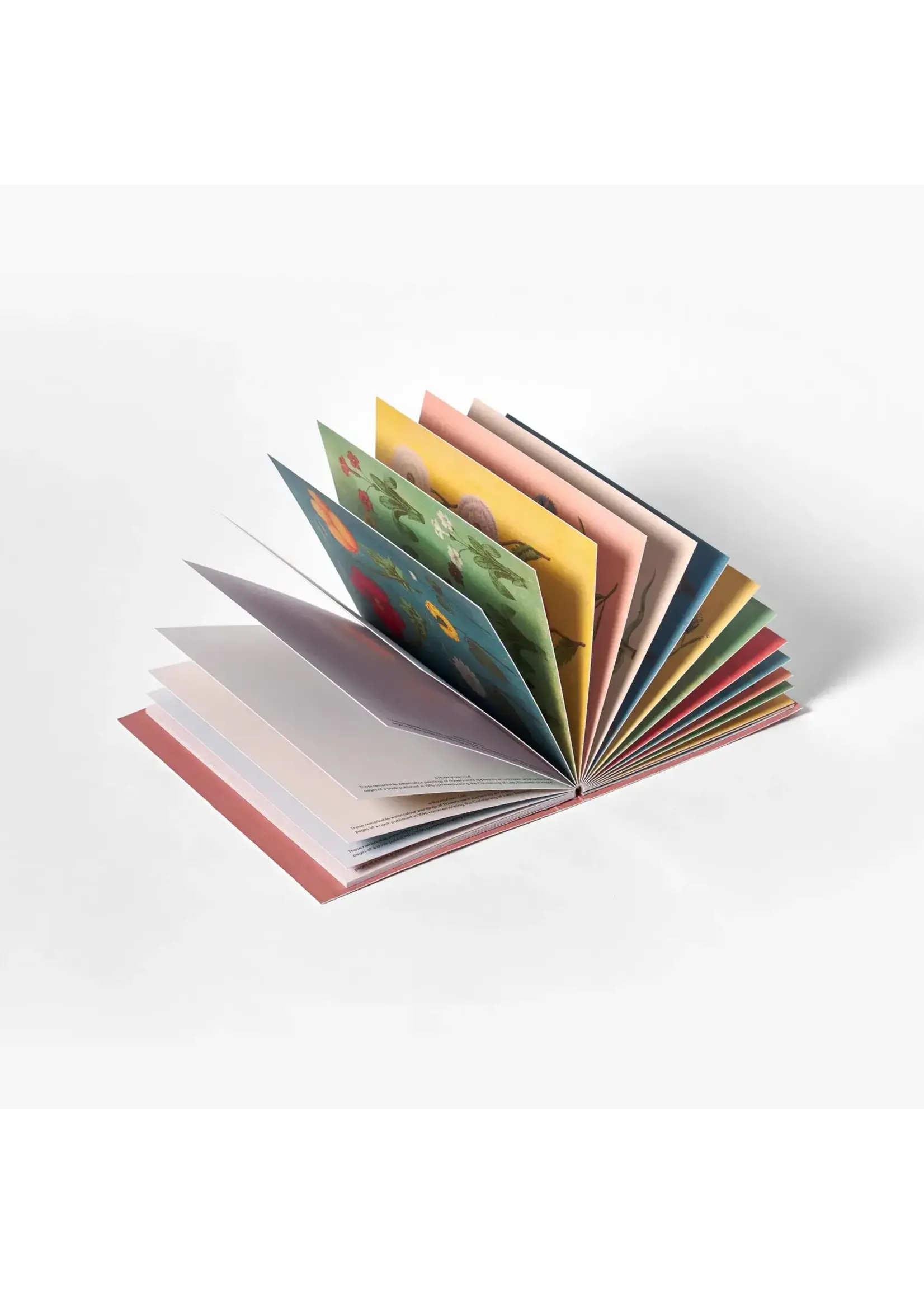 Rommytown Postcard Book - Festival of Flowers