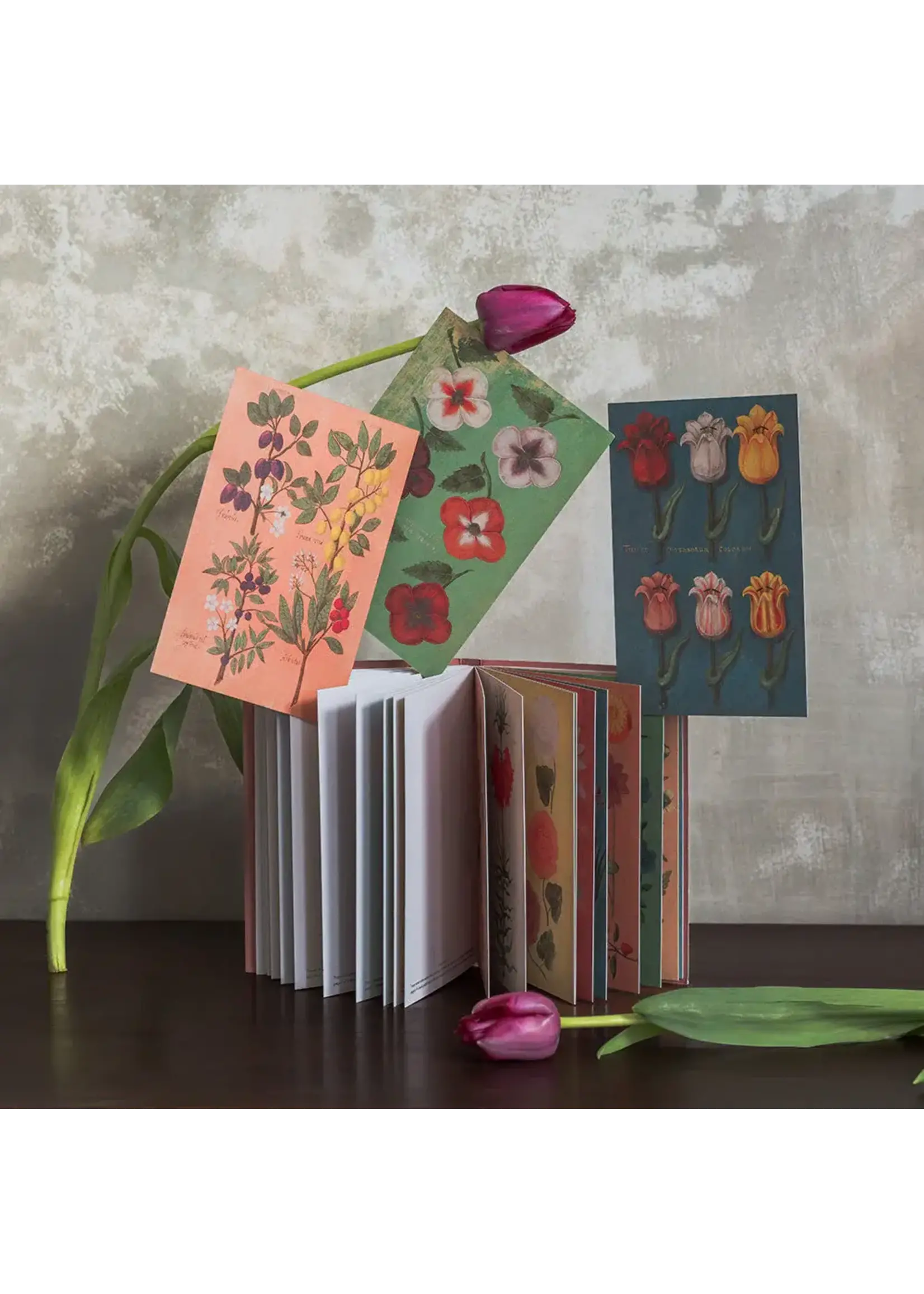 Rommytown Postcard Book - Festival of Flowers