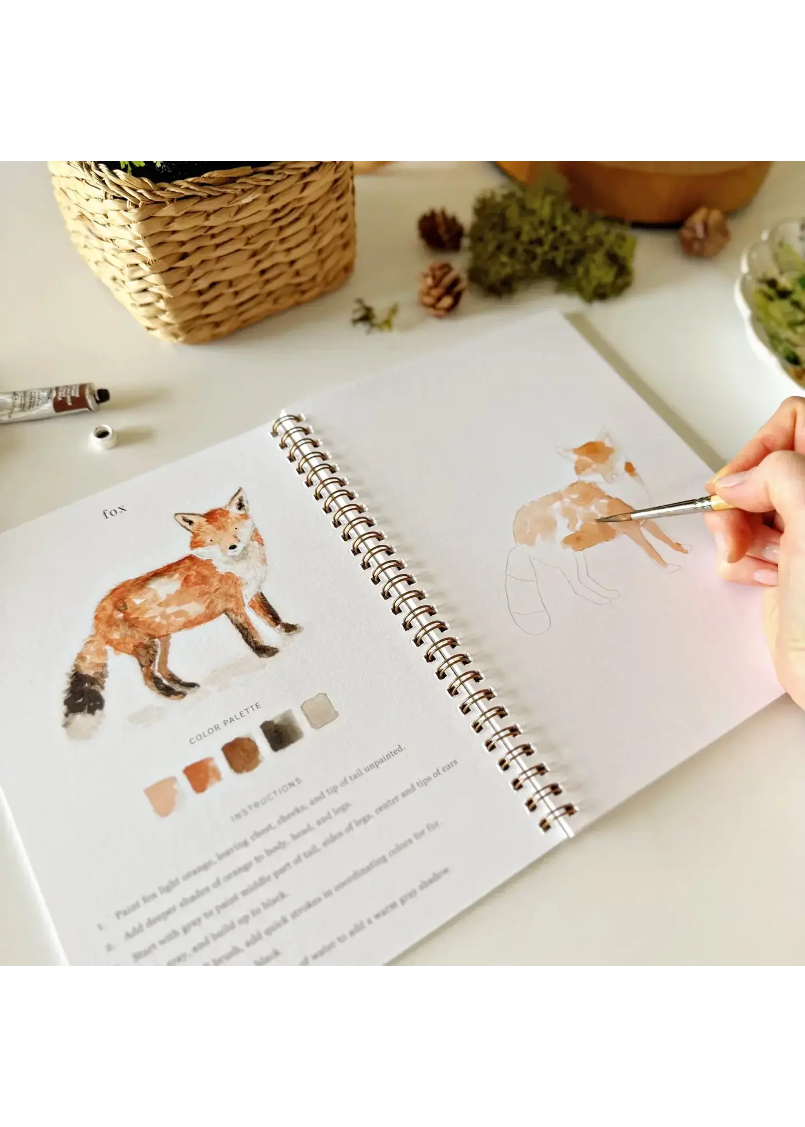 Emily Lex Studio Woodland Watercolor Workbook