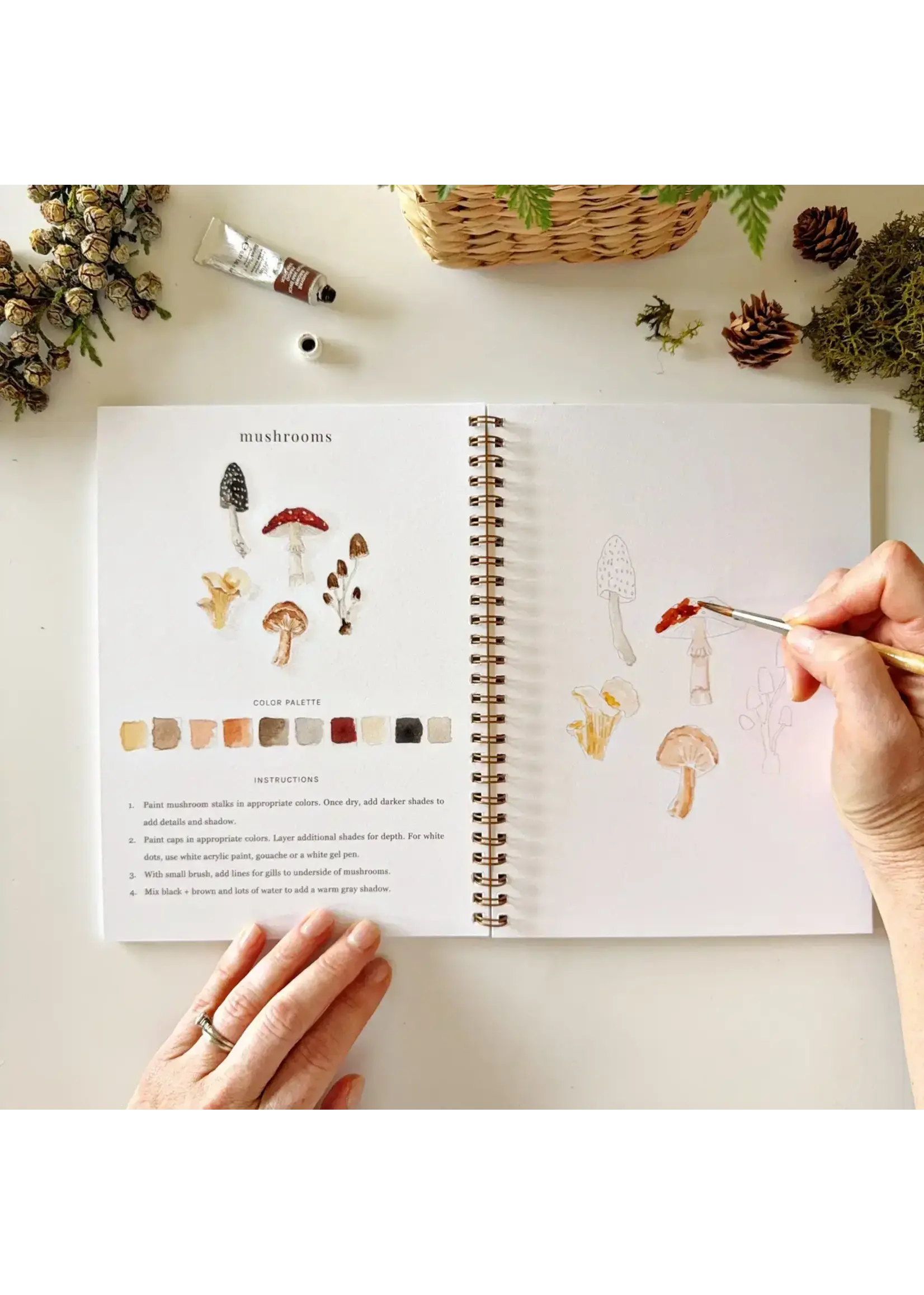 Emily Lex Studio Woodland Watercolor Workbook