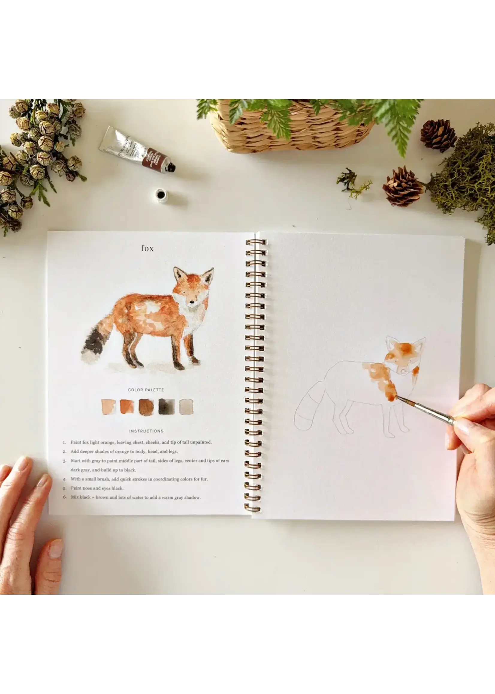 Emily Lex Studio Woodland Watercolor Workbook