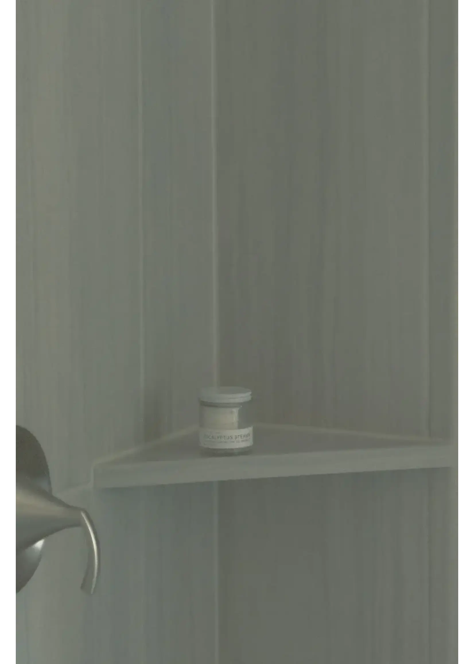 EUCALYPTUS STEAM (Mini Jar)