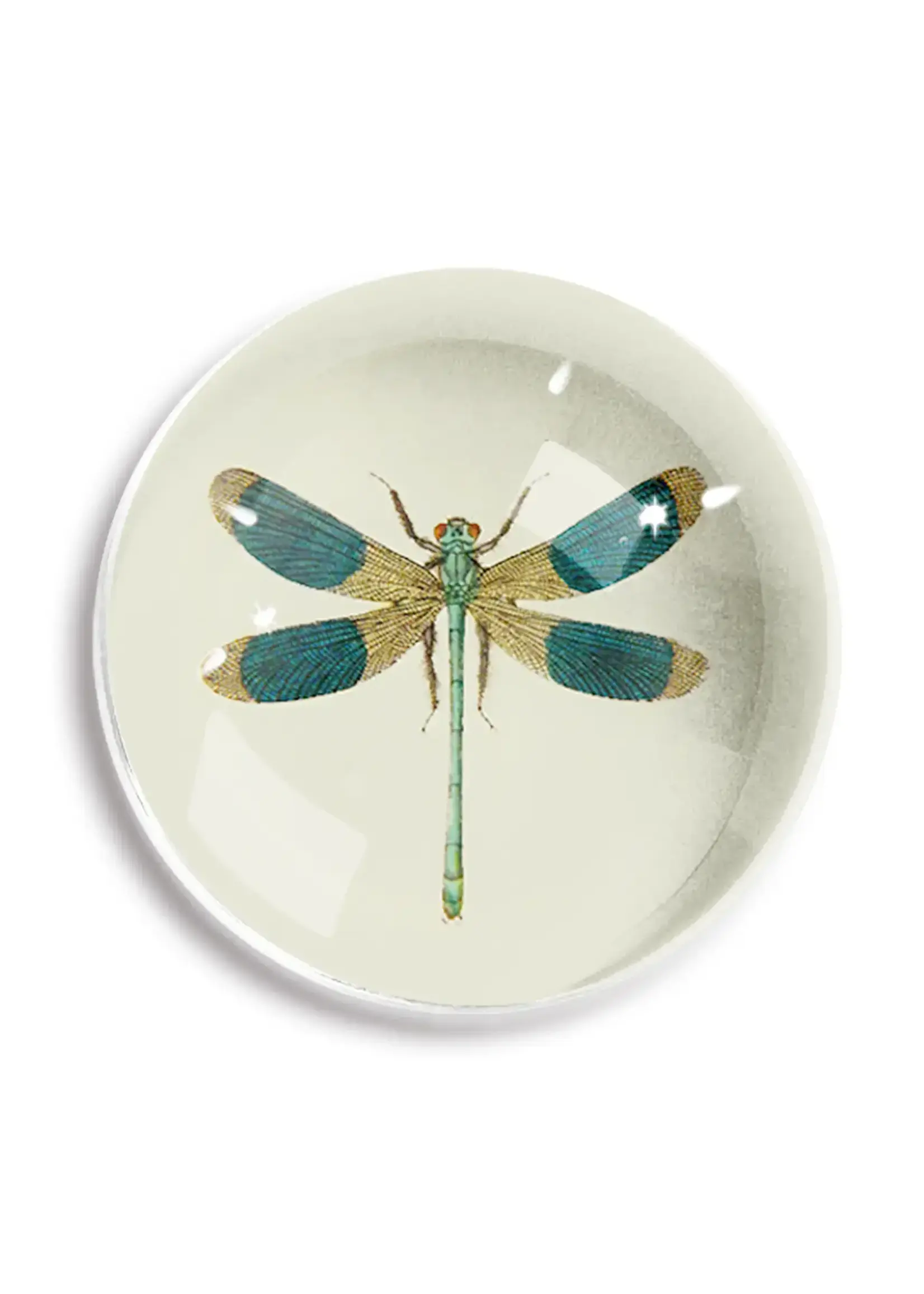 Ben's Garden Lucky Blue Dragonfly Dome Paperweight