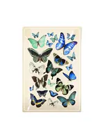 Ben's Garden Blue Butterflies Decoupage Glass Tray (6x10)