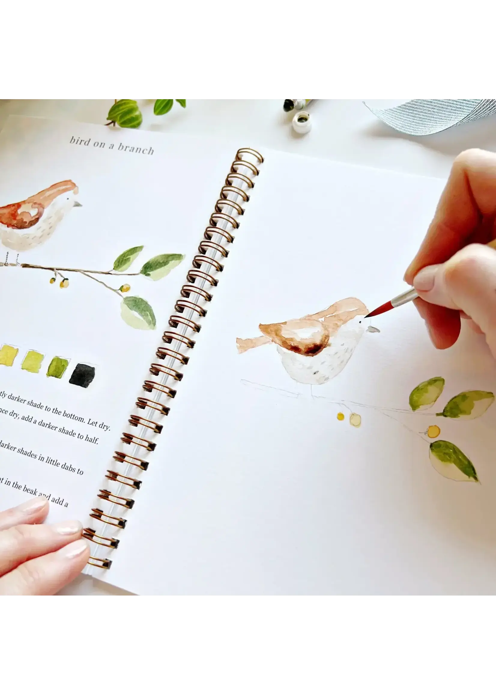 Emily Lex Studio Animal Watercolor Workbook