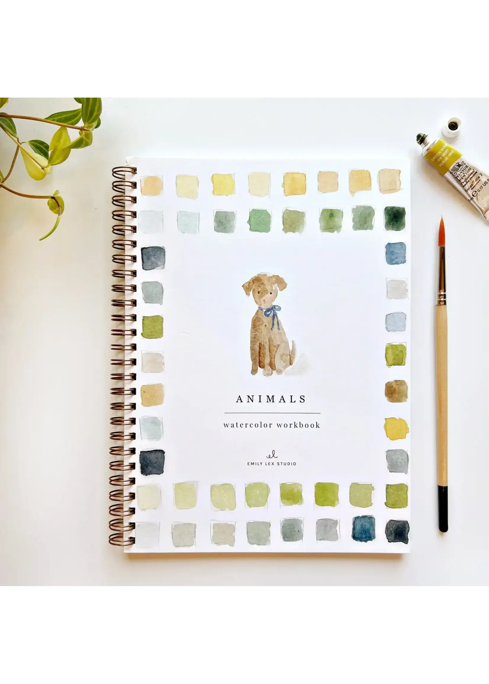 Emily Lex Studio Animal Watercolor Workbook