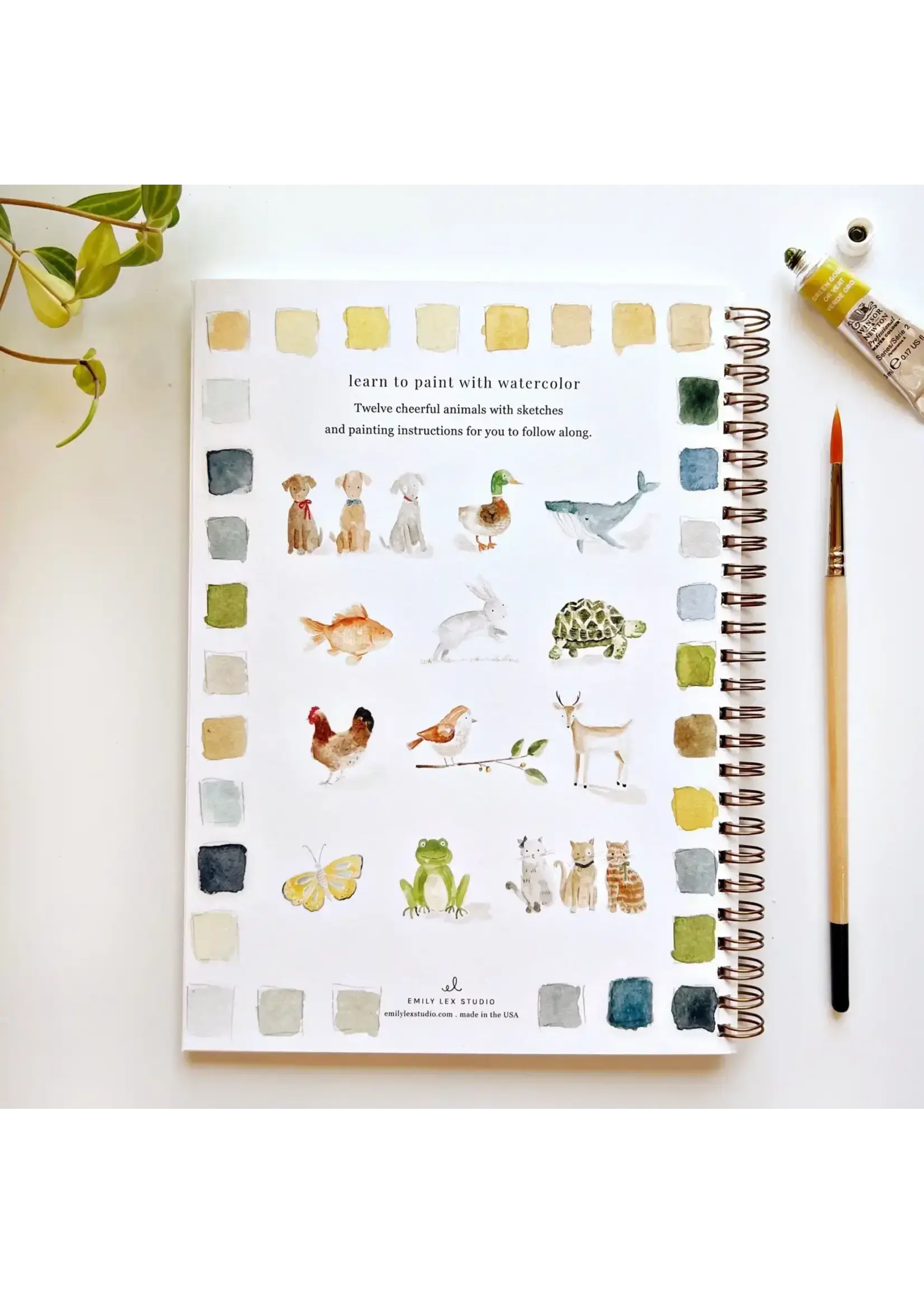 Emily Lex Studio Animal Watercolor Workbook
