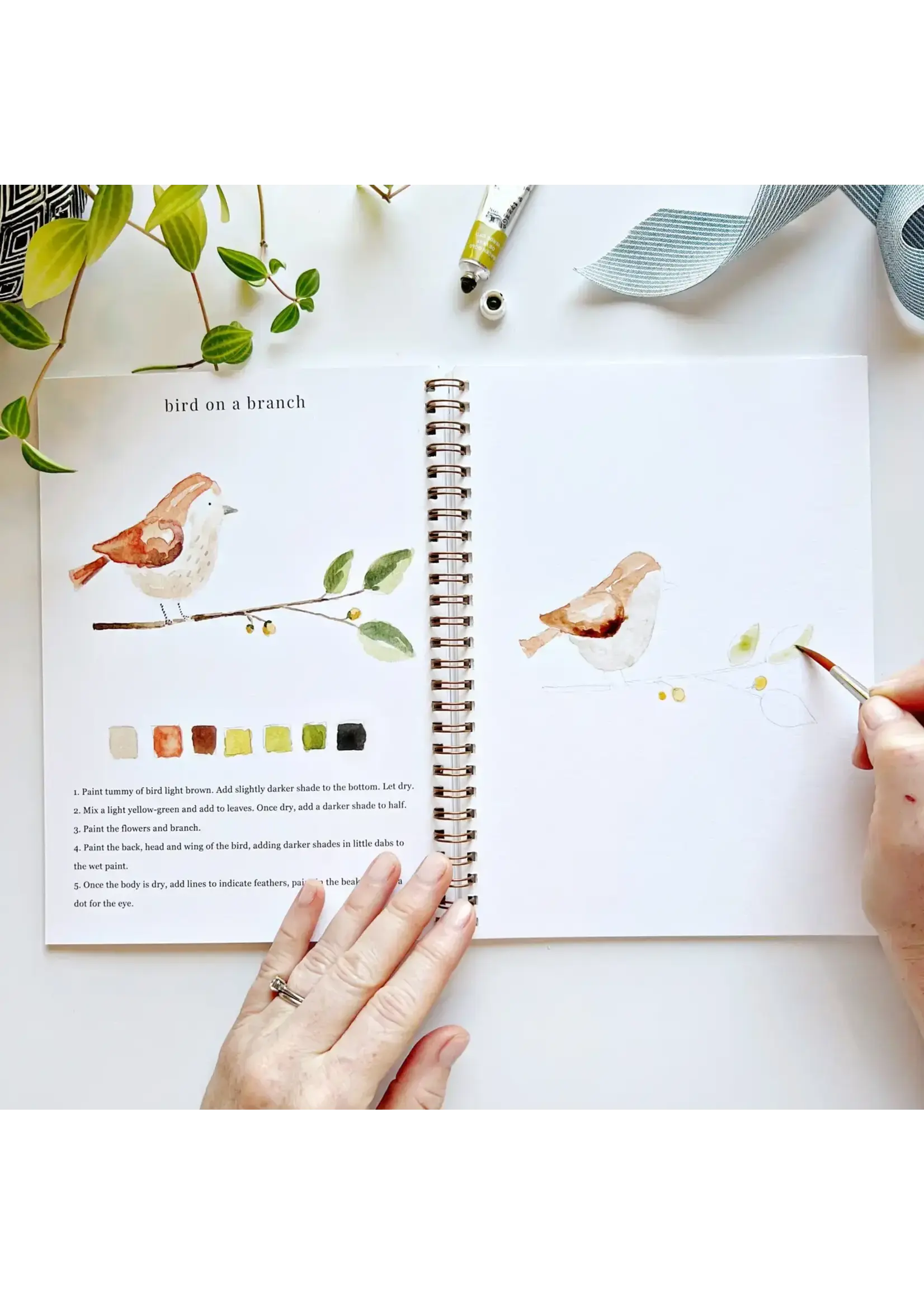 Emily Lex Studio Animal Watercolor Workbook