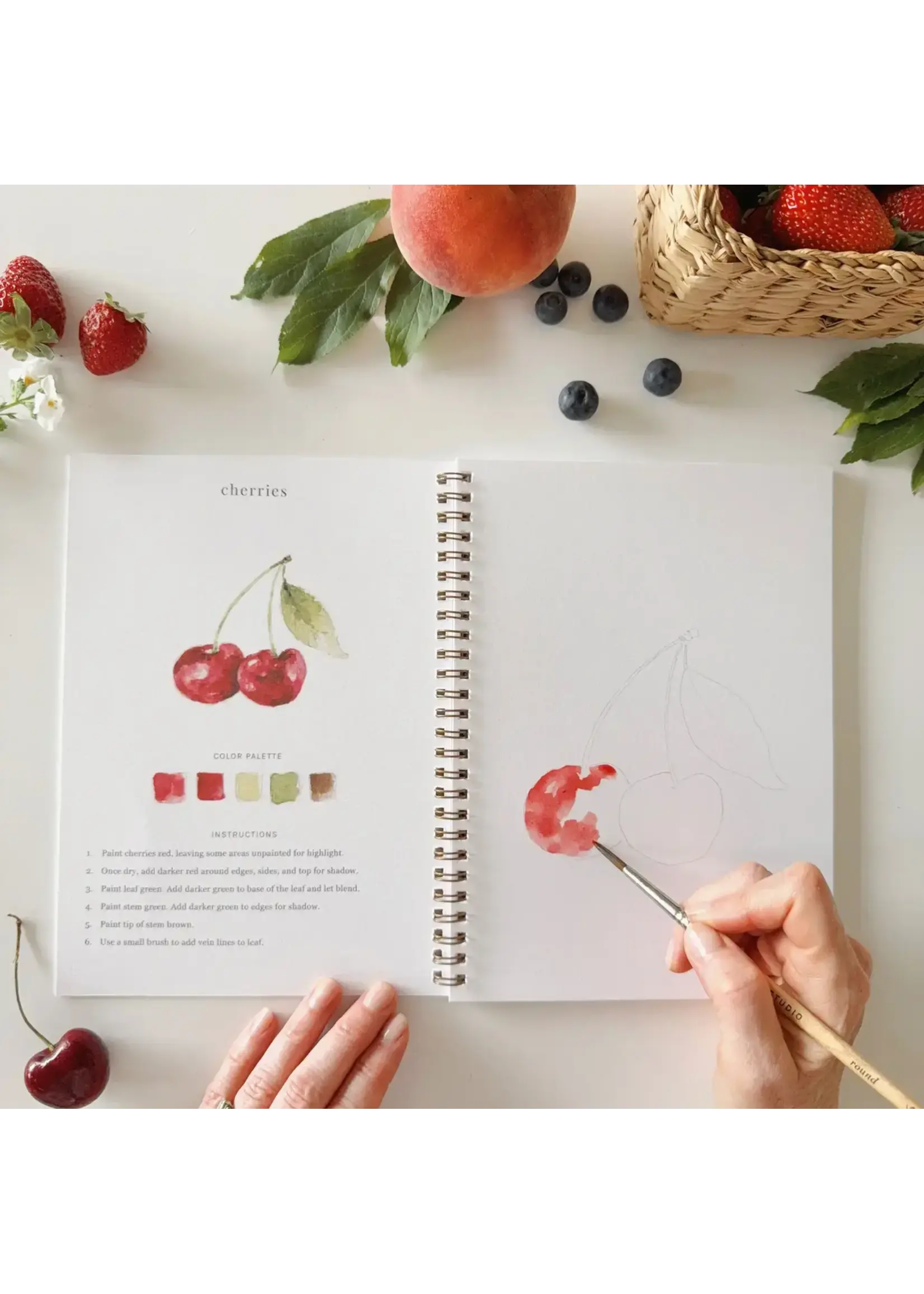 Emily Lex Studio Fruit Watercolor Workbook