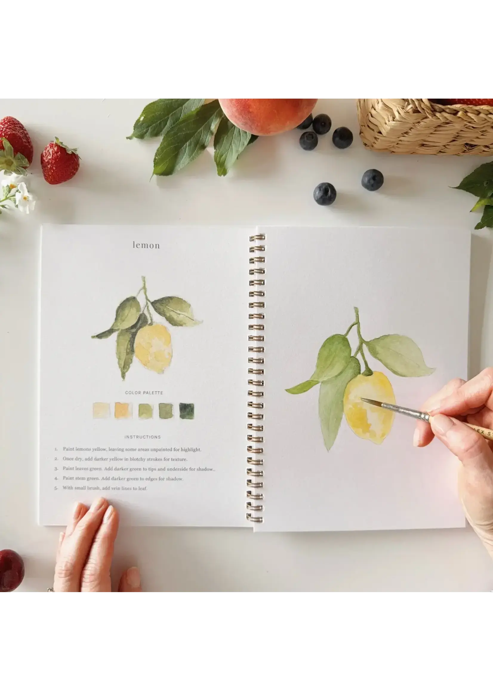 Emily Lex Studio Fruit Watercolor Workbook
