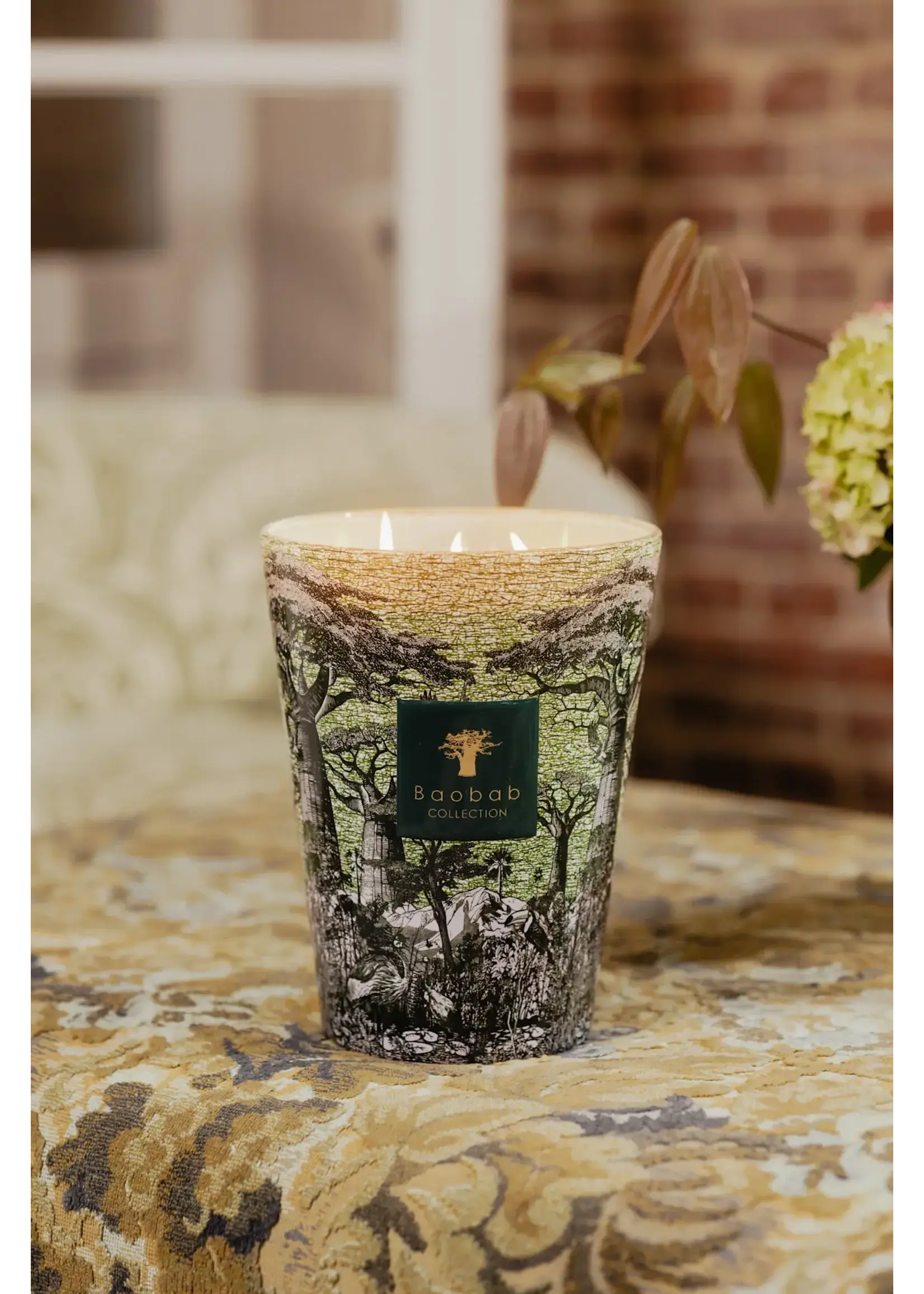 Baobab Sacred Trees Touba (Max 10)