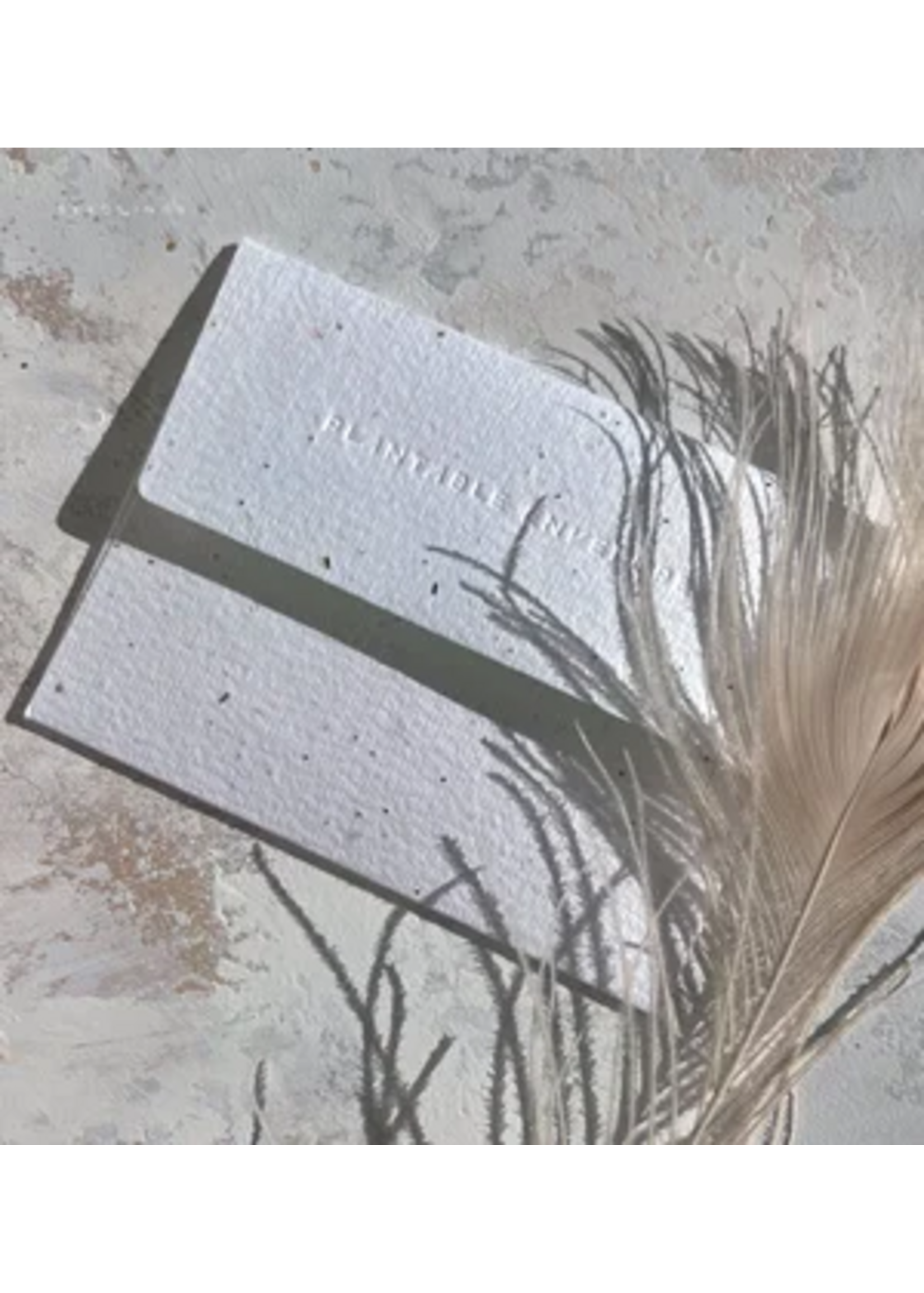 Seedlings Sardines Birthday Card