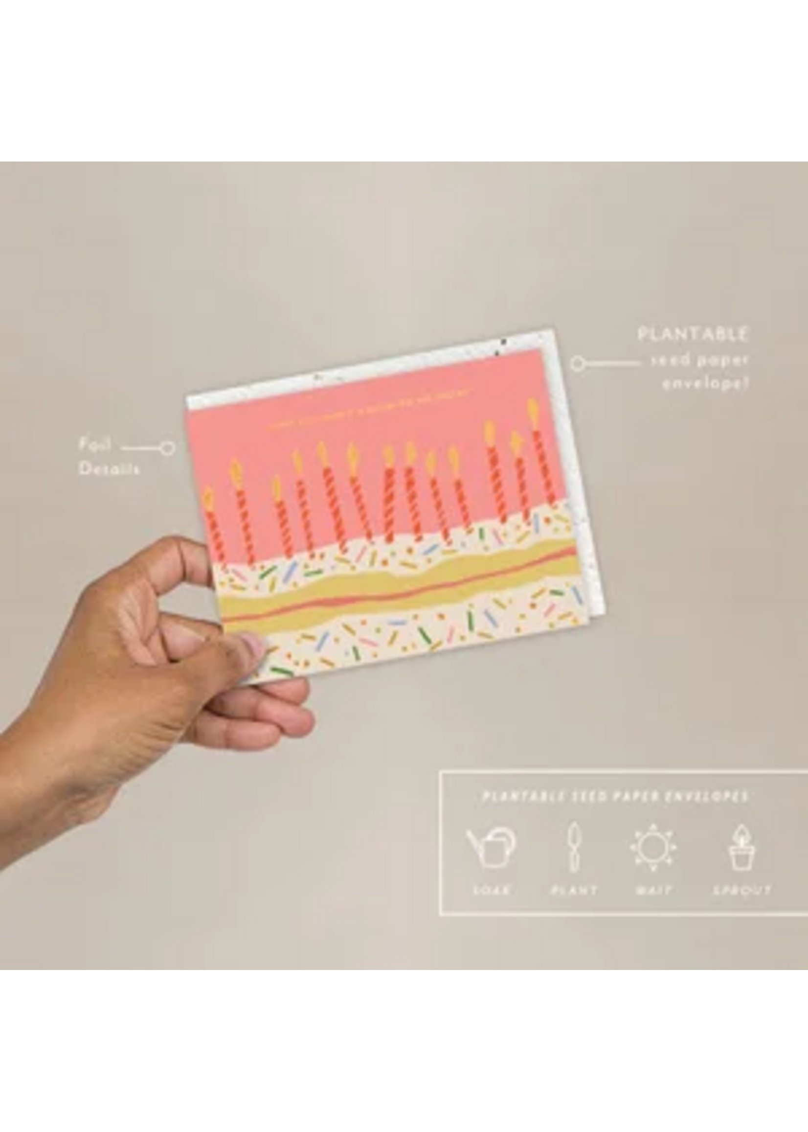 Seedlings Candle Wishes Birthday Card