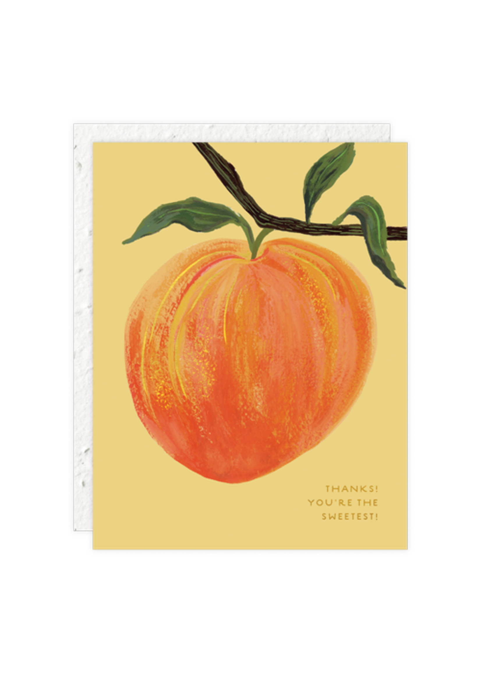 Seedlings Peach Thank You Card