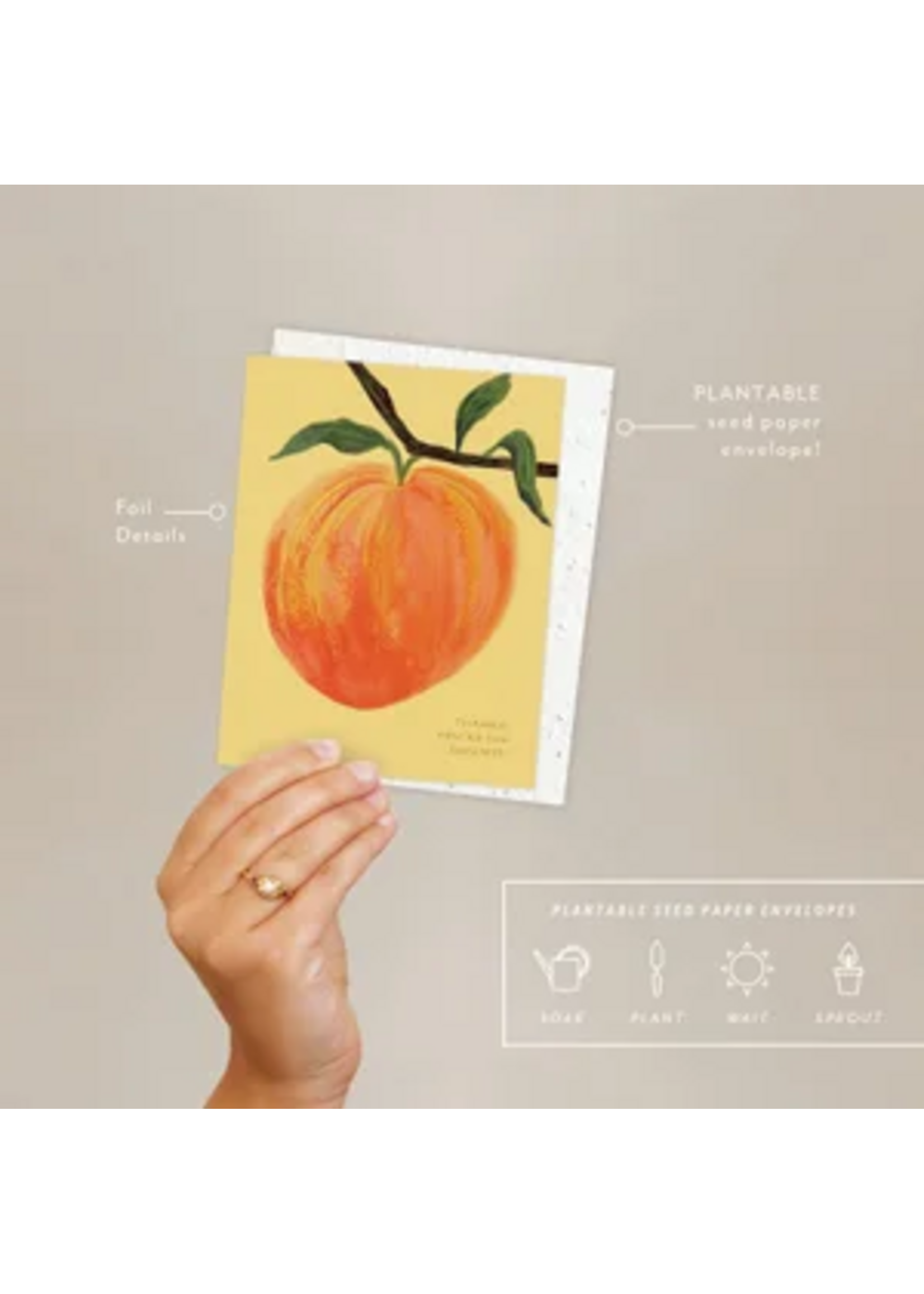 Seedlings Peach Thank You Card