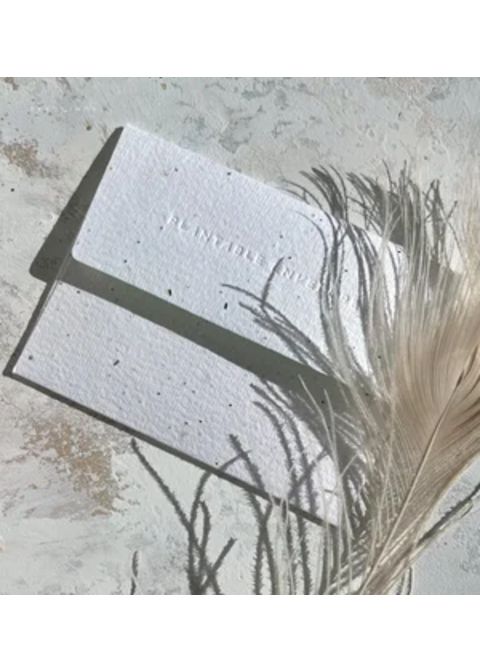 Seedlings Espresso Anniversary Card