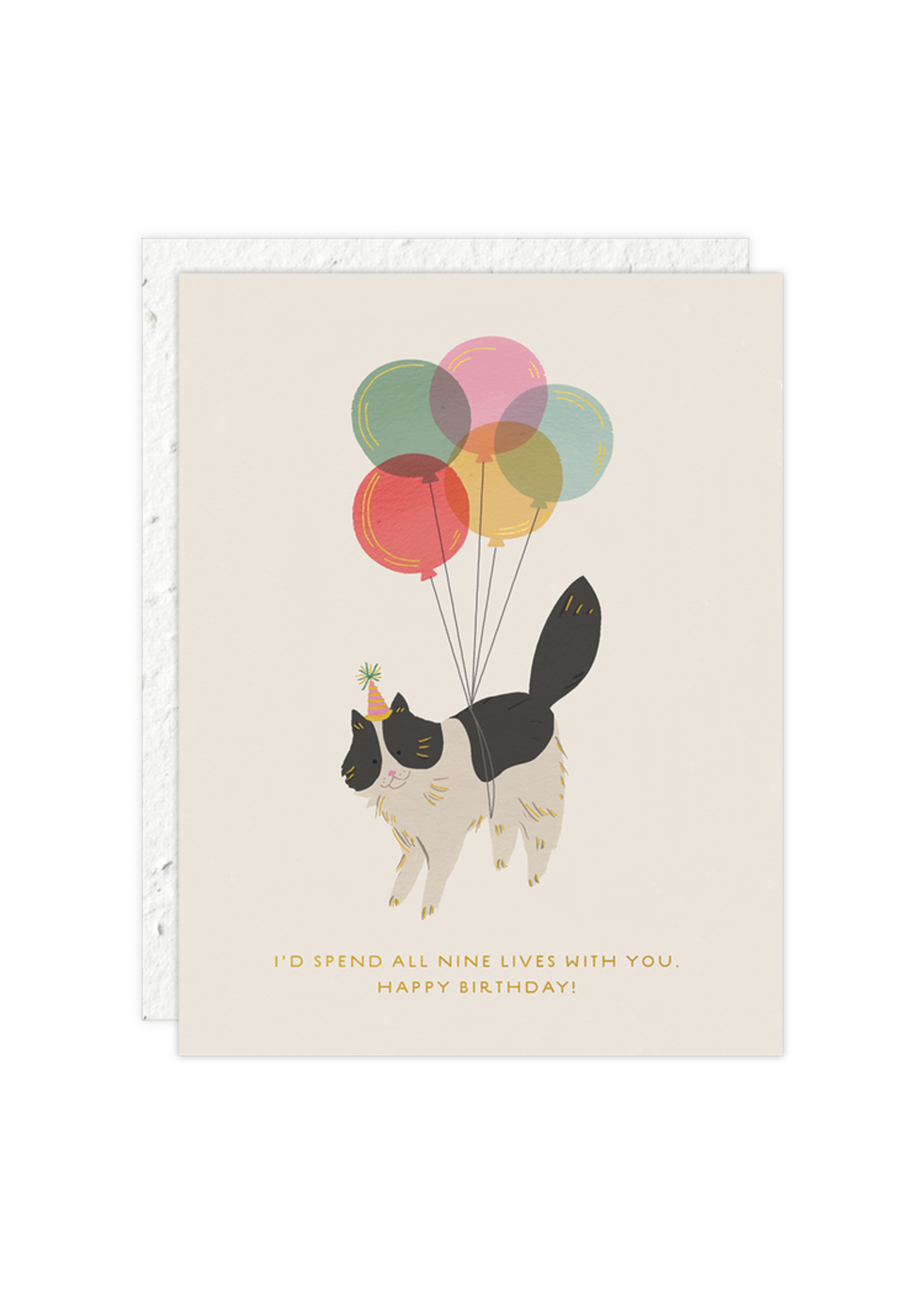 Seedlings Birthday Kitty Birthday Card