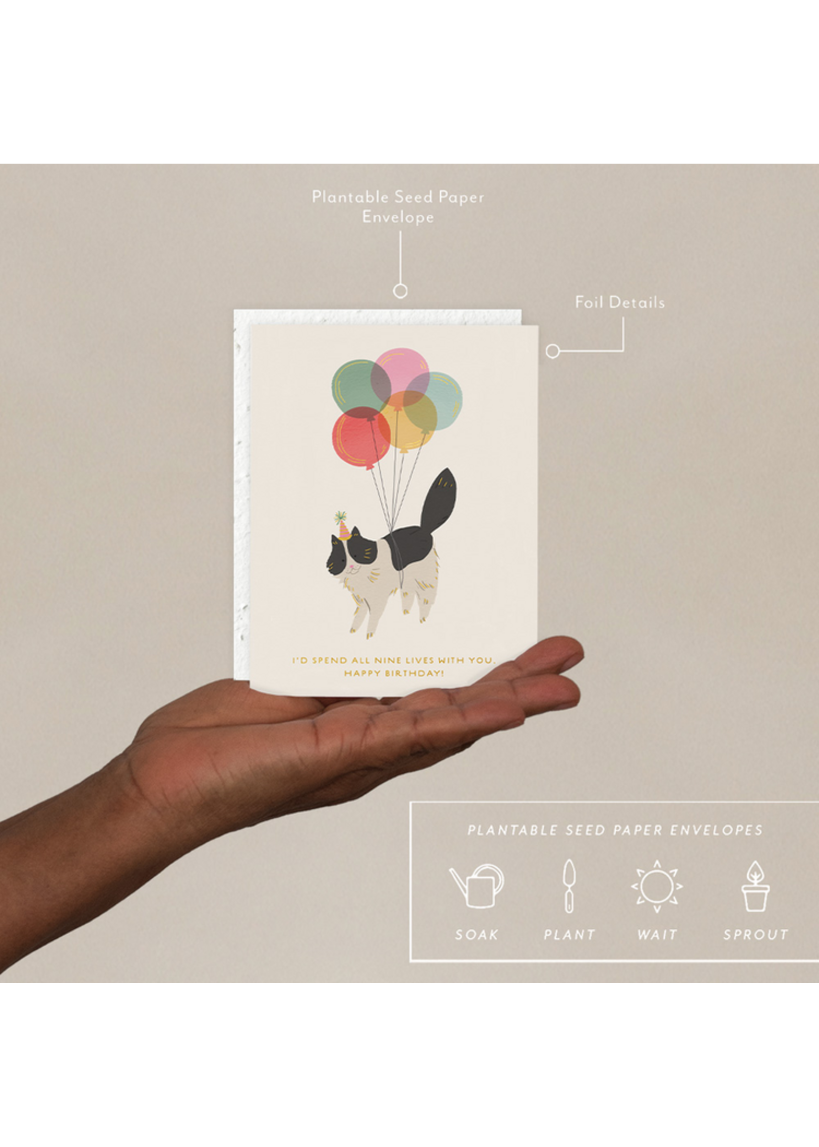 Seedlings Birthday Kitty Birthday Card