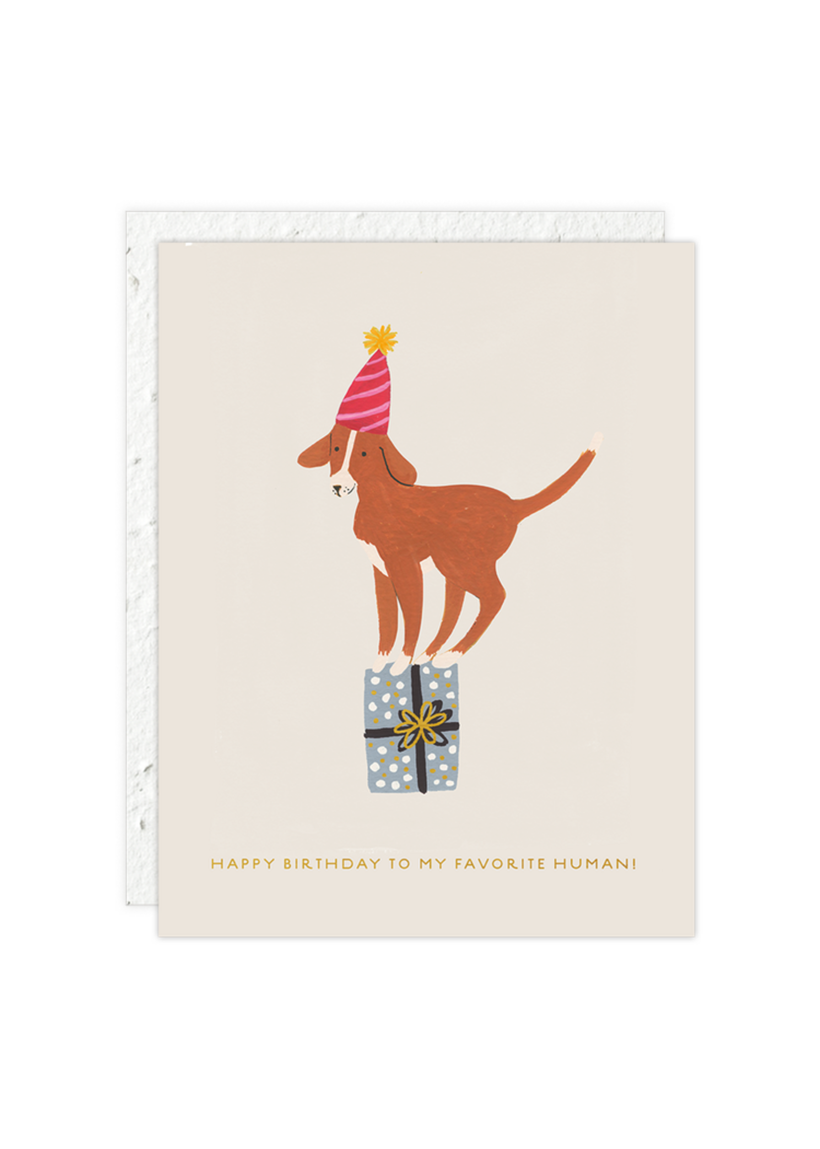 Seedlings Birthday Dog Birthday Card