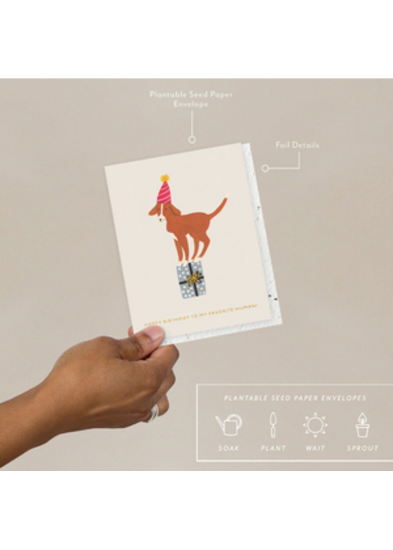 Seedlings Birthday Dog Birthday Card