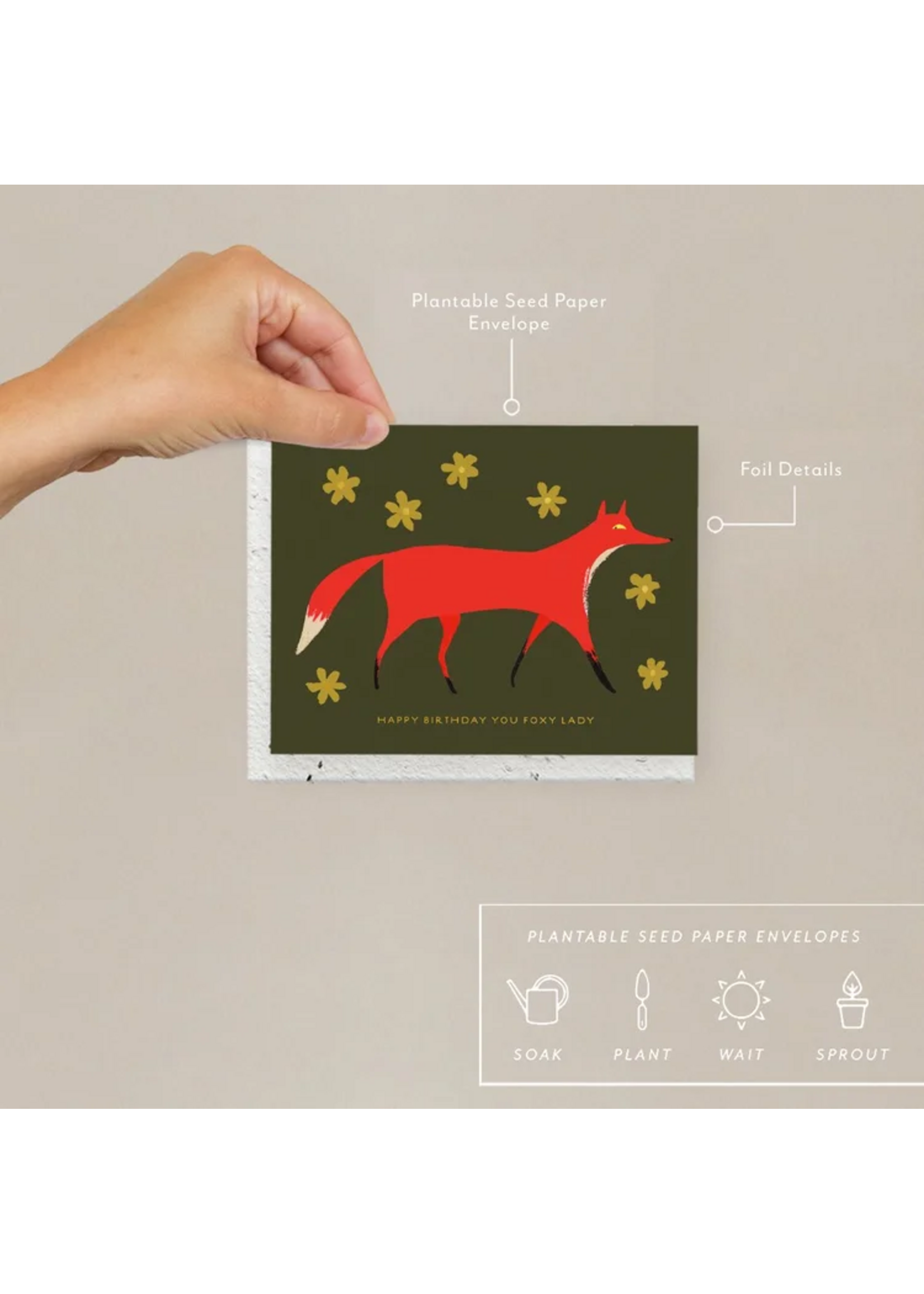 Seedlings Foxy Birthday Card