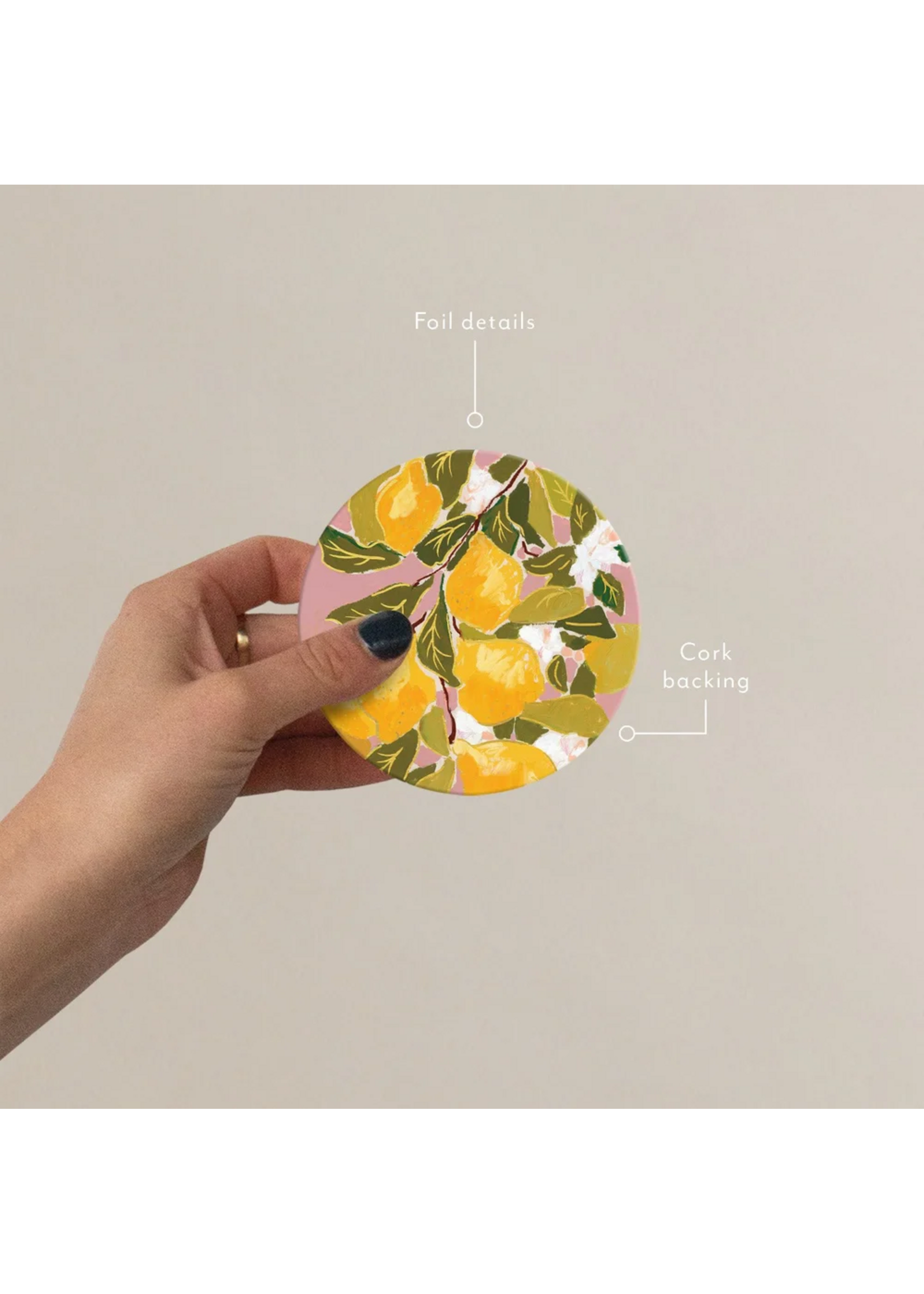 Seedlings Lemons Seedlings Coaster