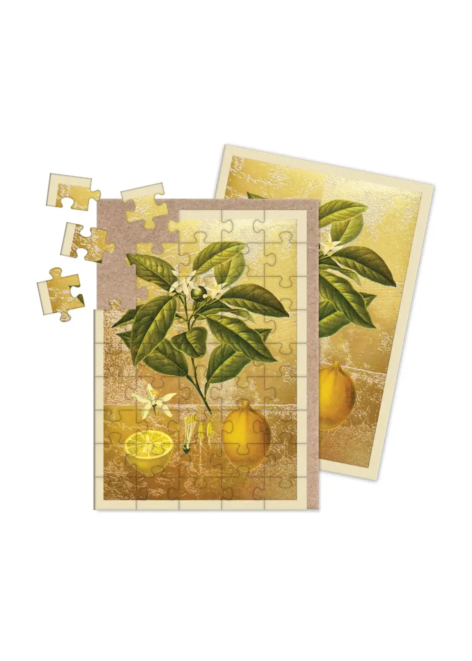 Ohh Deer Lemons Jigsaw Greeting Card